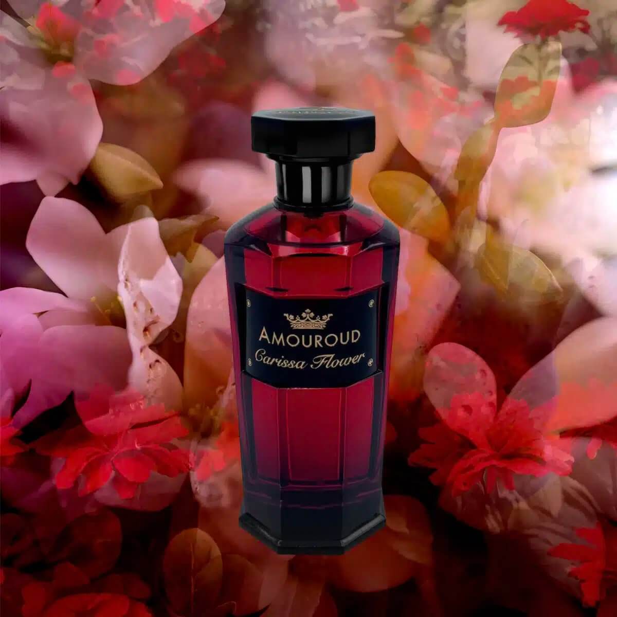 Carissa Flower - Levo