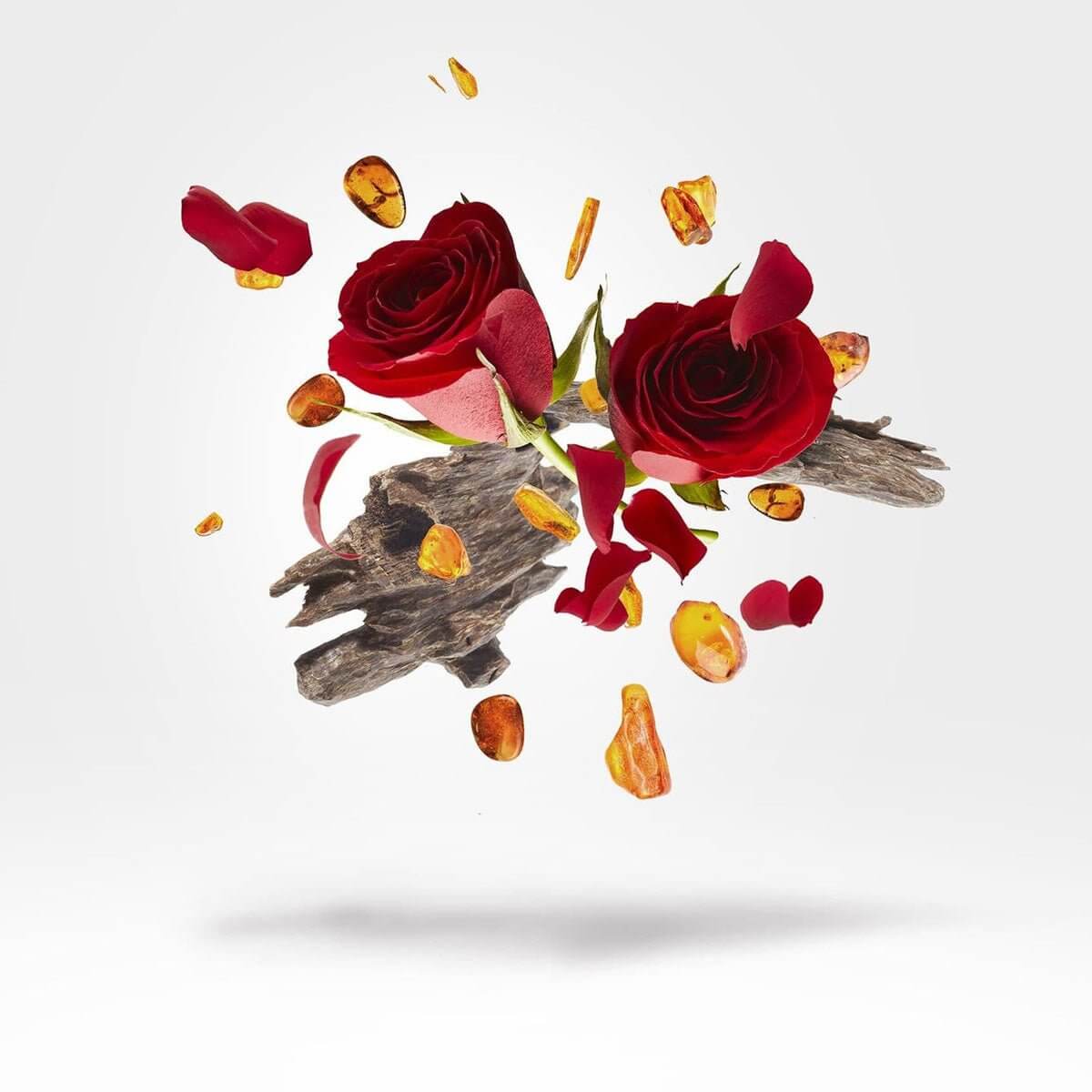 Elixir extract  (Oil) 15ml - Levo