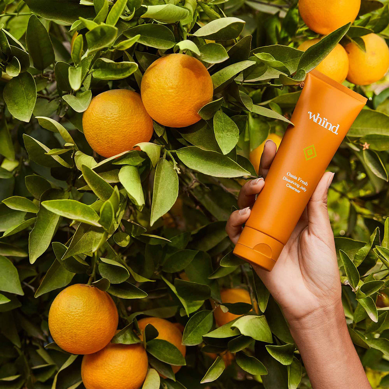 Oasis Fresh Dissolving Jelly Cleanser