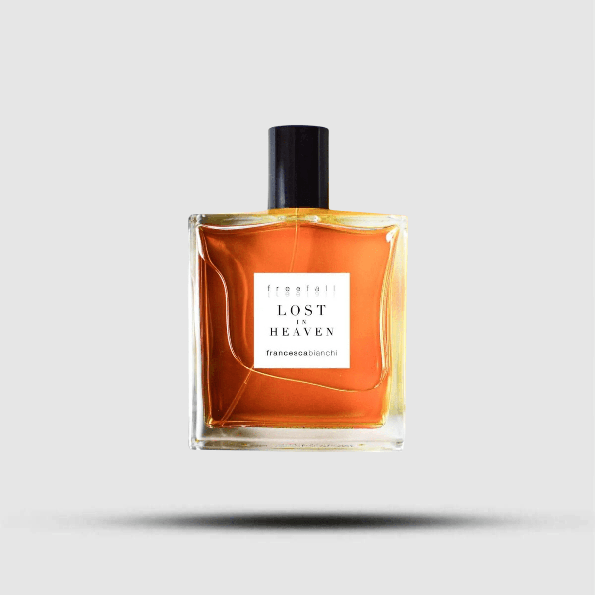 Lost in Heaven - Levo