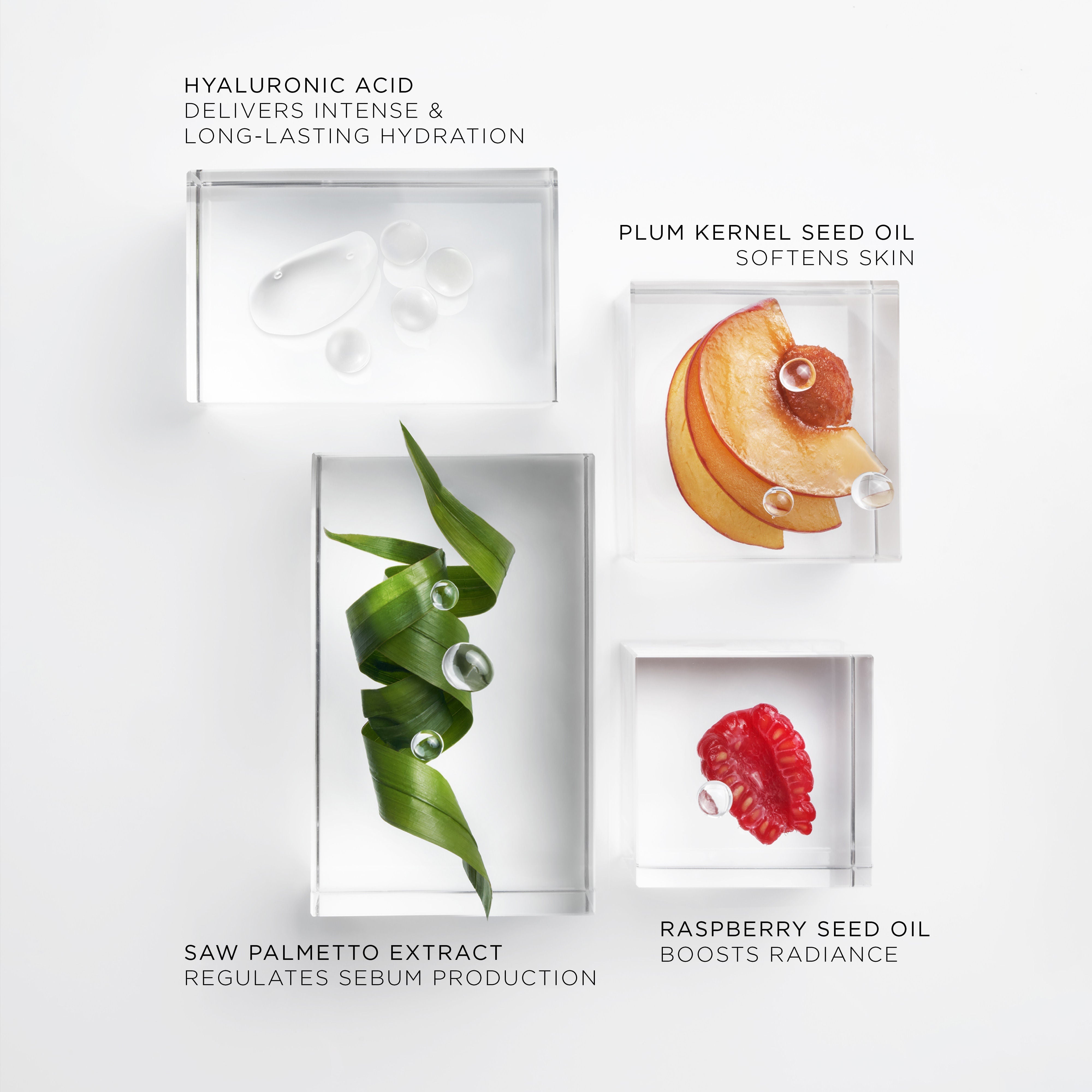 The Brilliant Glow Hydration Oil