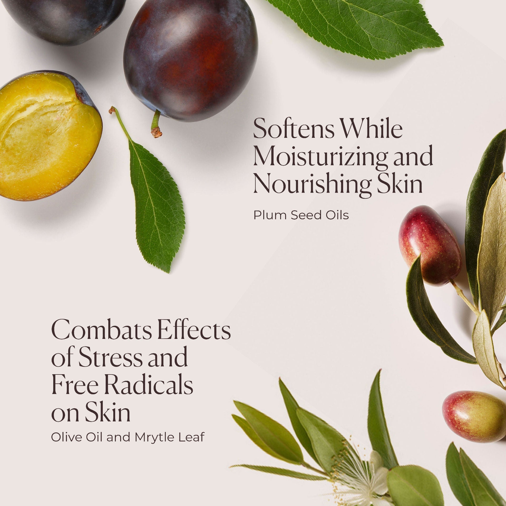 Hydrating Body Wash Almond Coconut