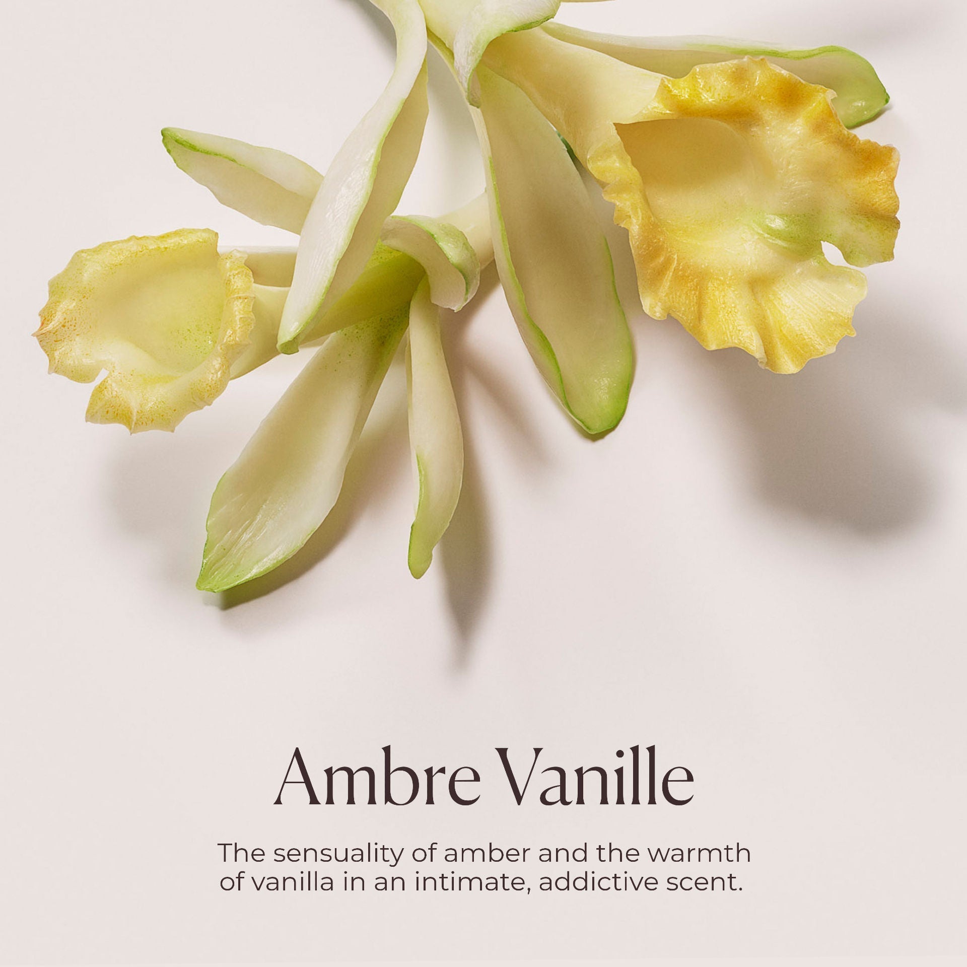 Hydrating Body Wash Ambre Vanille