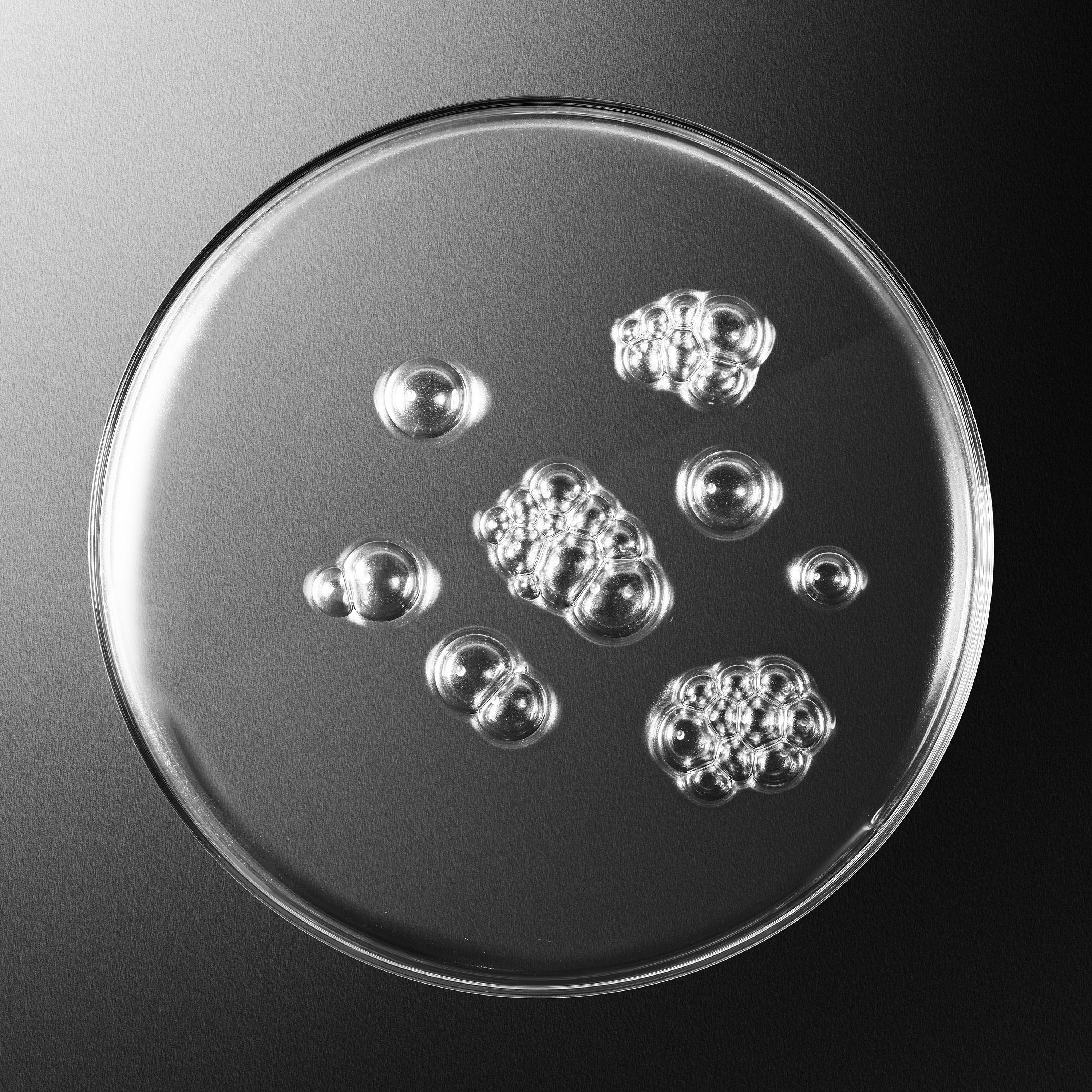 Sisleÿum Revitalizing Toning Lotion