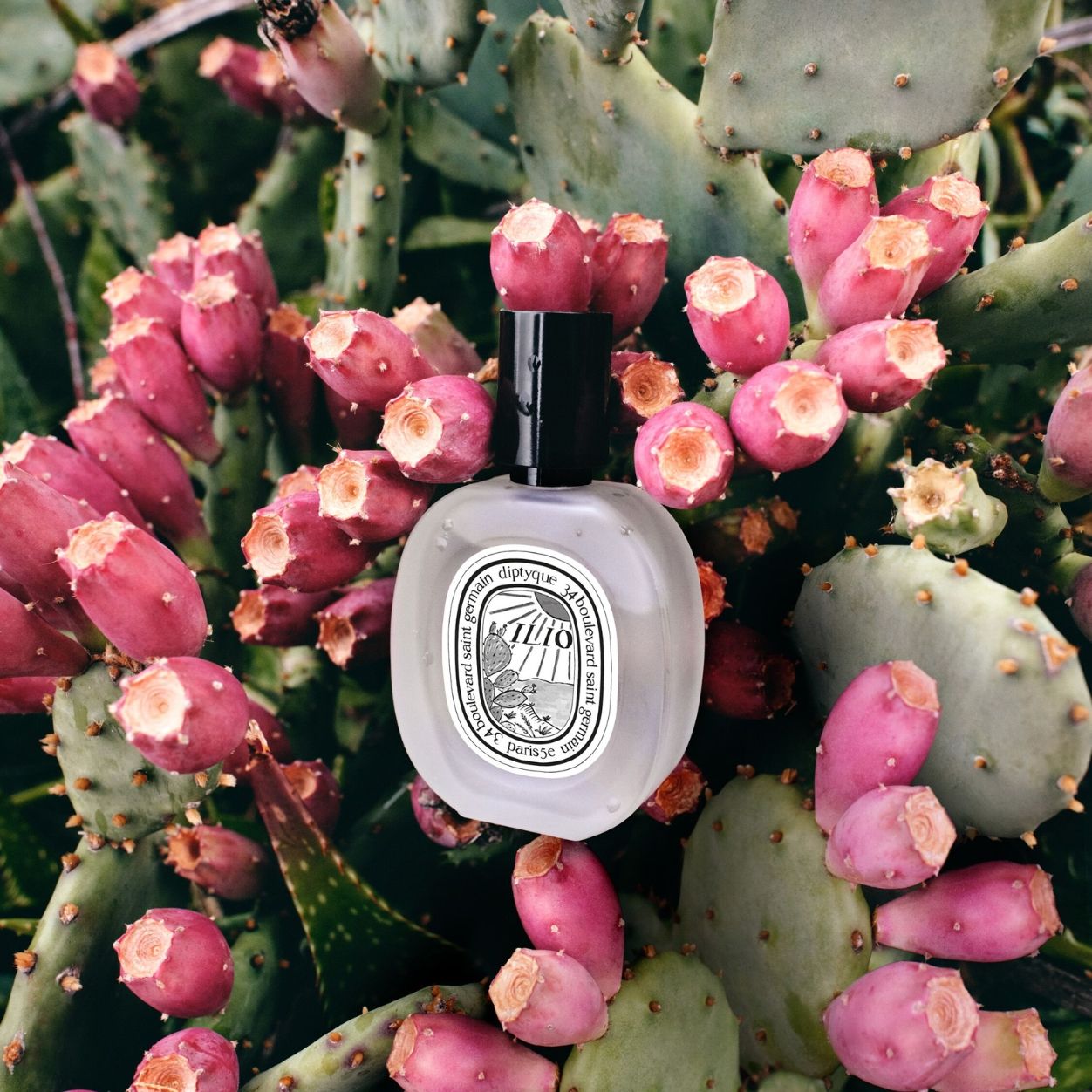 Ilio Hair Mist (Limited Edition)