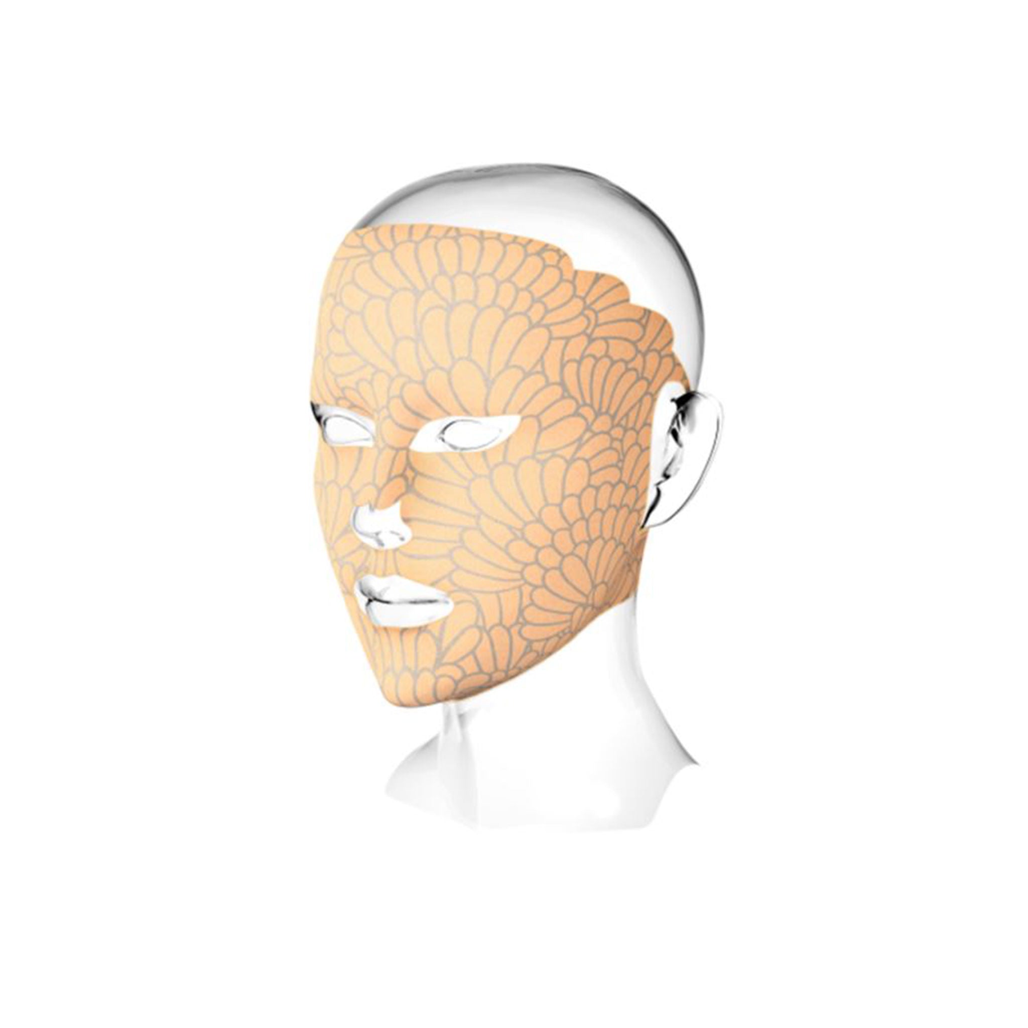 Youth Revealed Face Mask