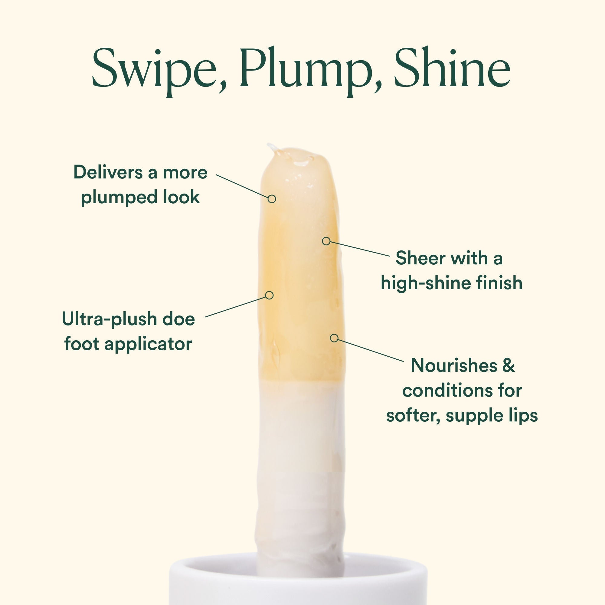 Hyaluronic Acid Lip Booster