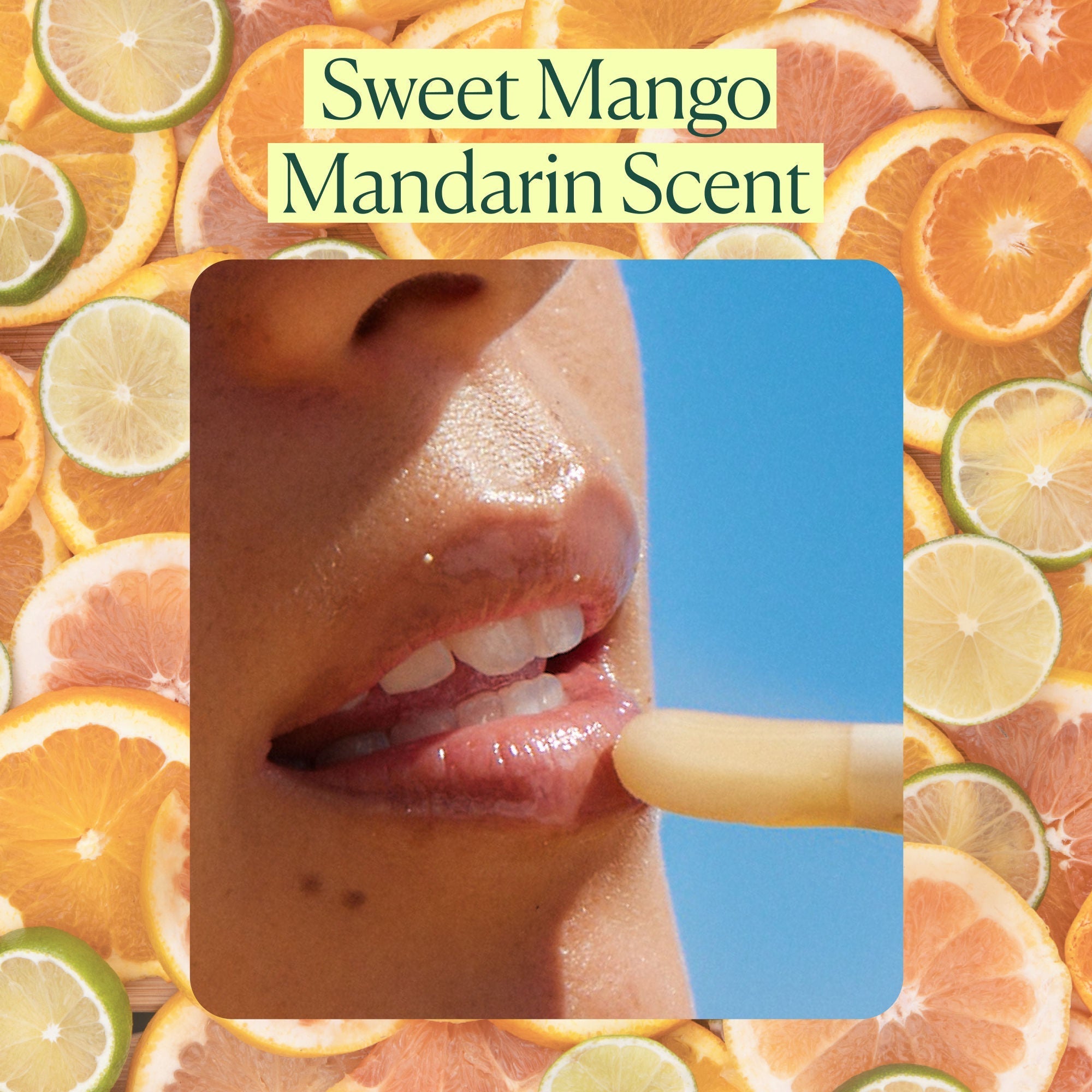 Hyaluronic Acid Lip Booster