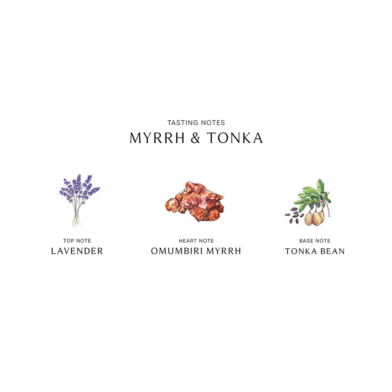 Myrrh and Tonka Home Candle