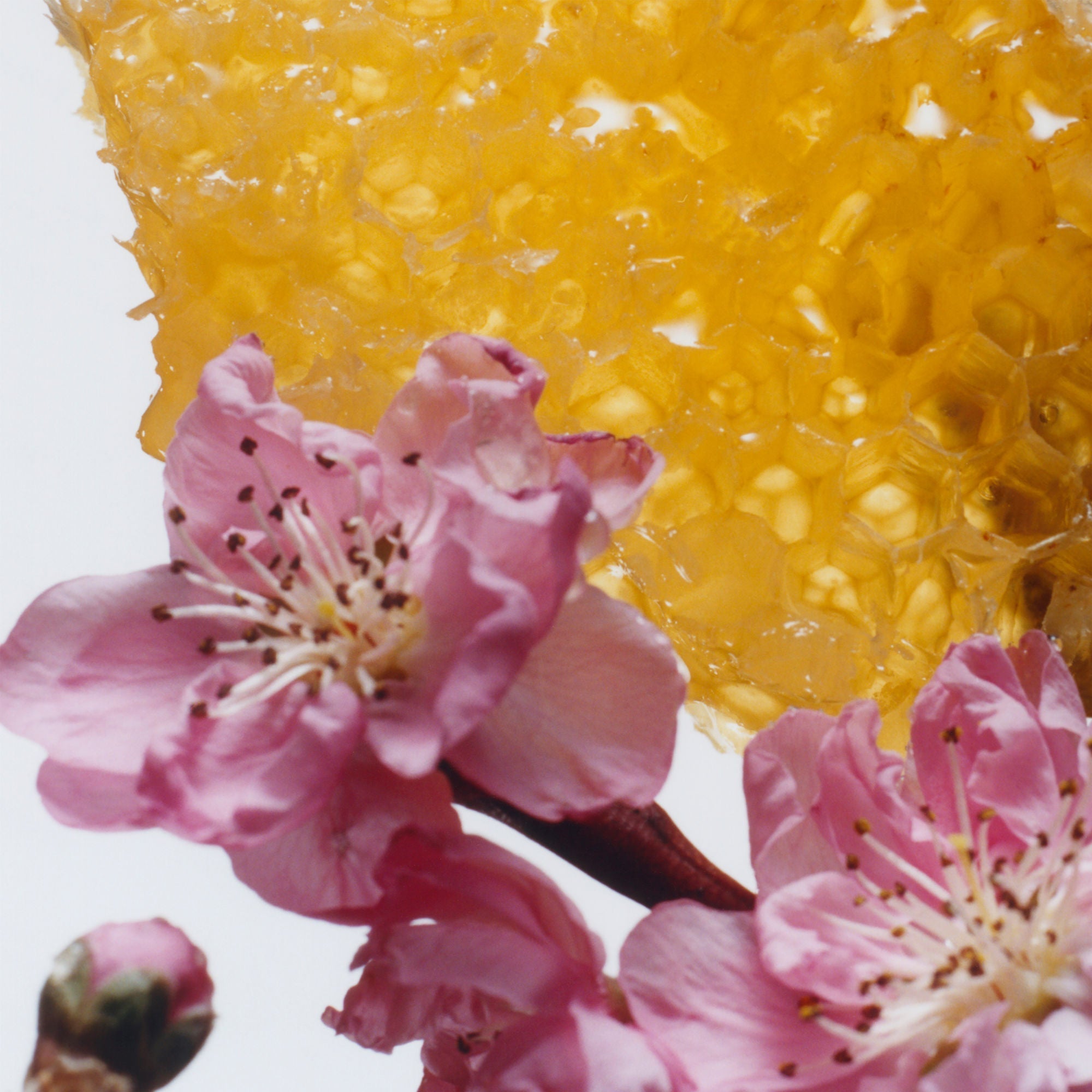 Nectarine Blossom & Honey Home & Away Duo (Limited Edition)