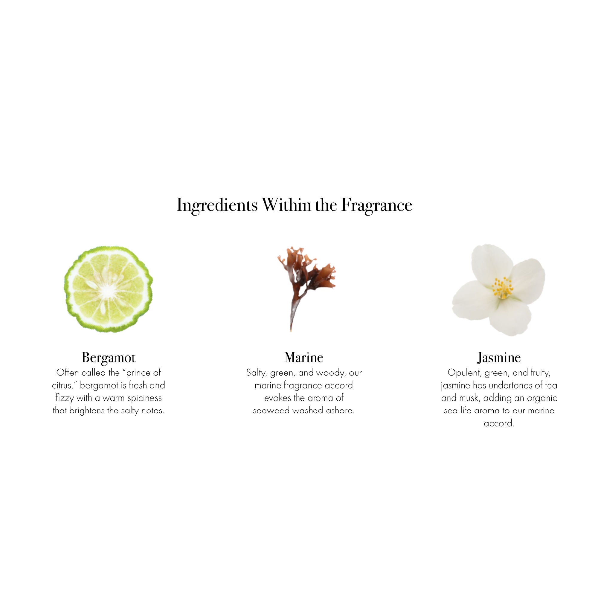 Marine Classic Reed Diffuser