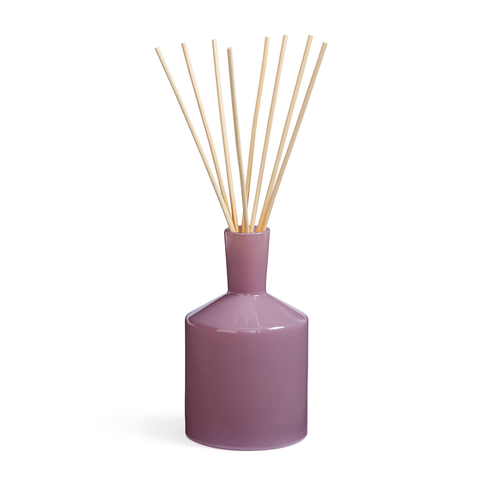Midnight Cactus Classic Reed Diffuser