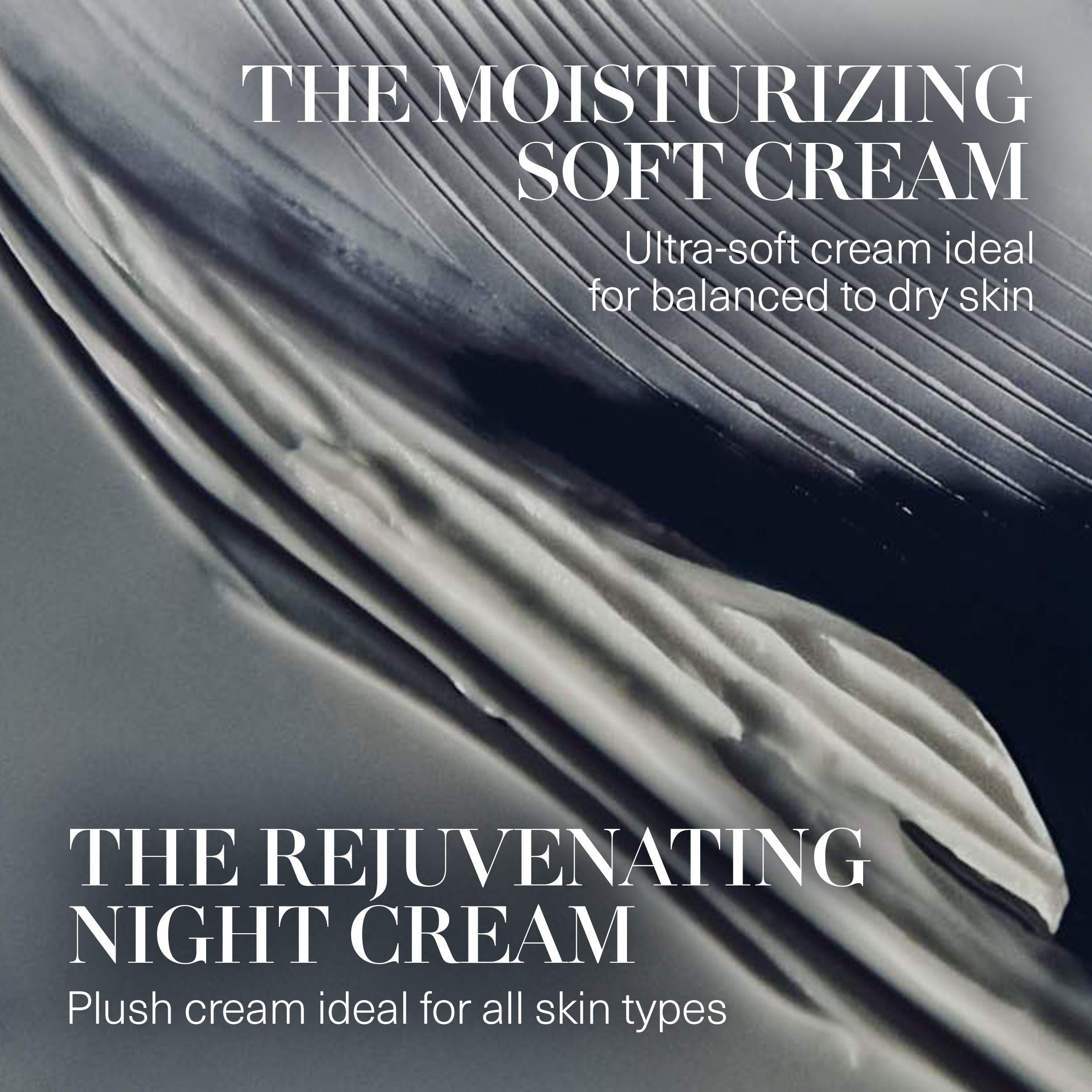 The Day and Night Duet (Limited Edition)