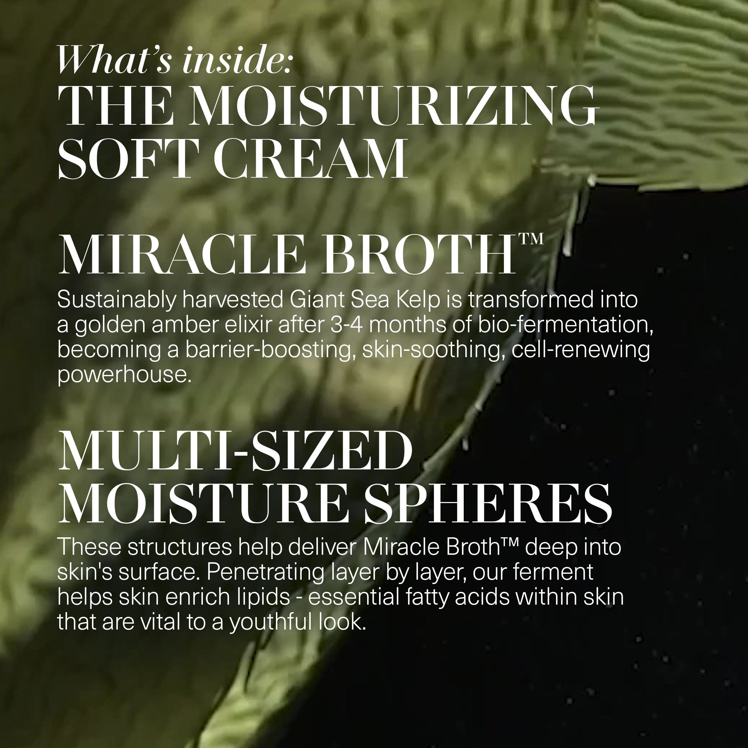 The Moisturizing Soft Cream Duet (Limited Edition)