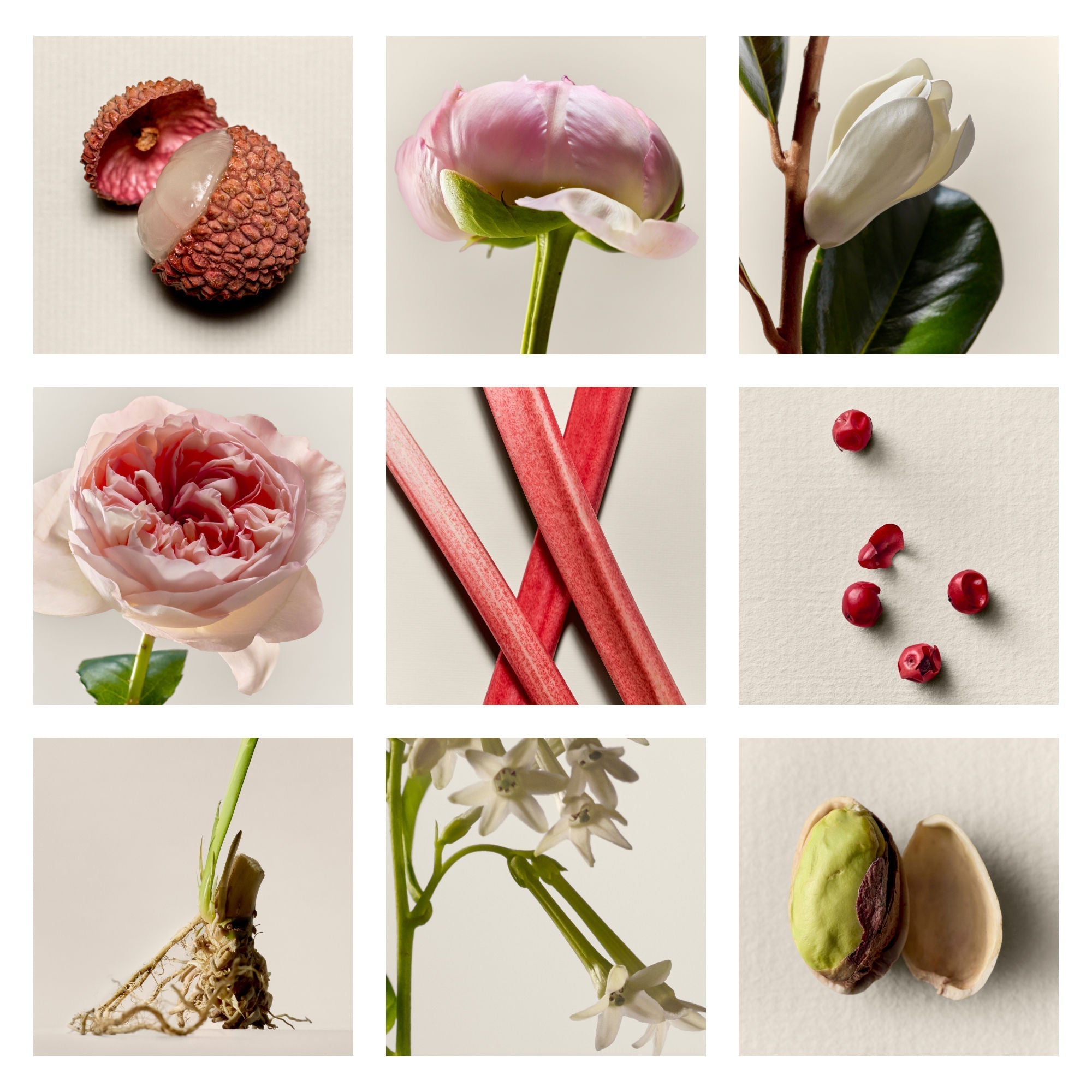 The Fragrance Set (Limited Edition)