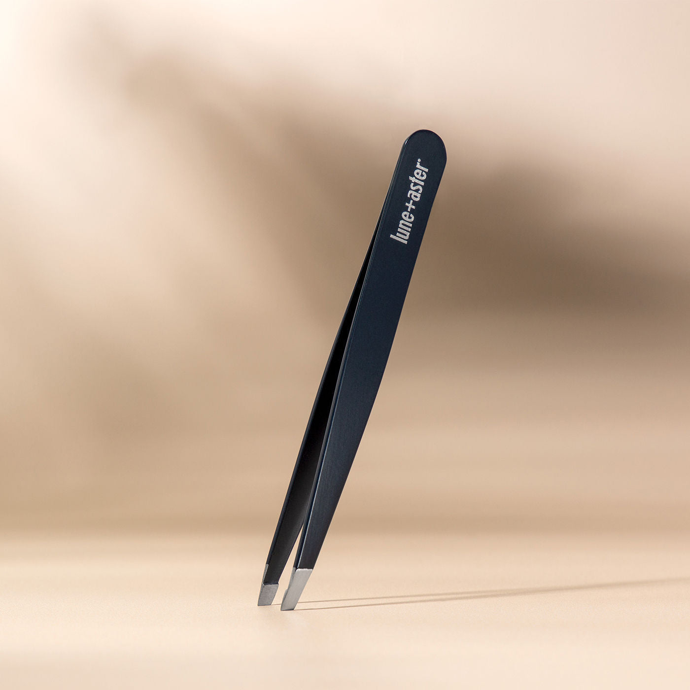 The Perfect Brow Edit