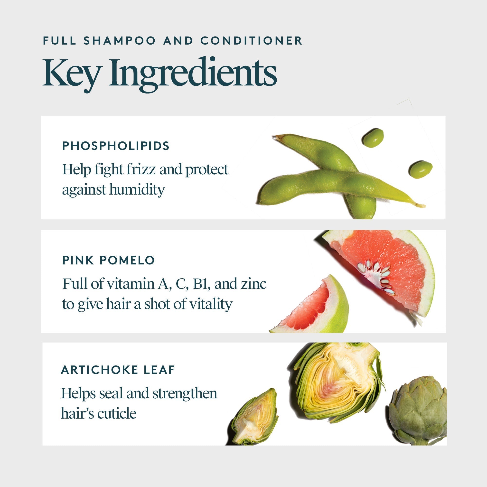 Jumbo Size Full Shampoo & Conditioner Duo (Limited Edition)