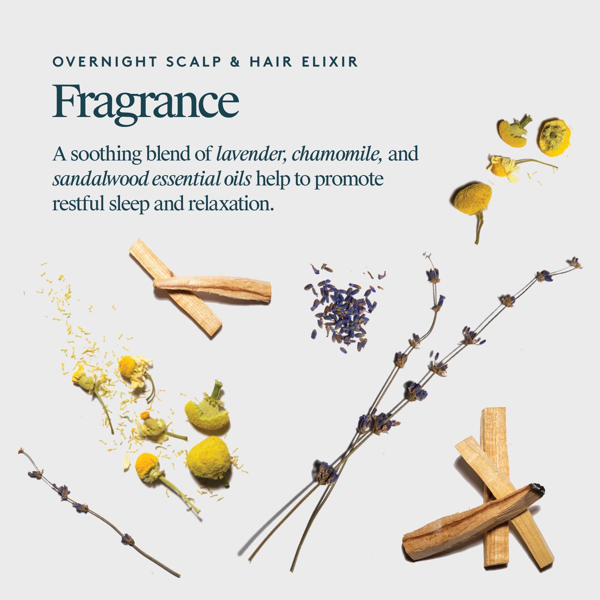 Overnight Scalp & Hair Elixir