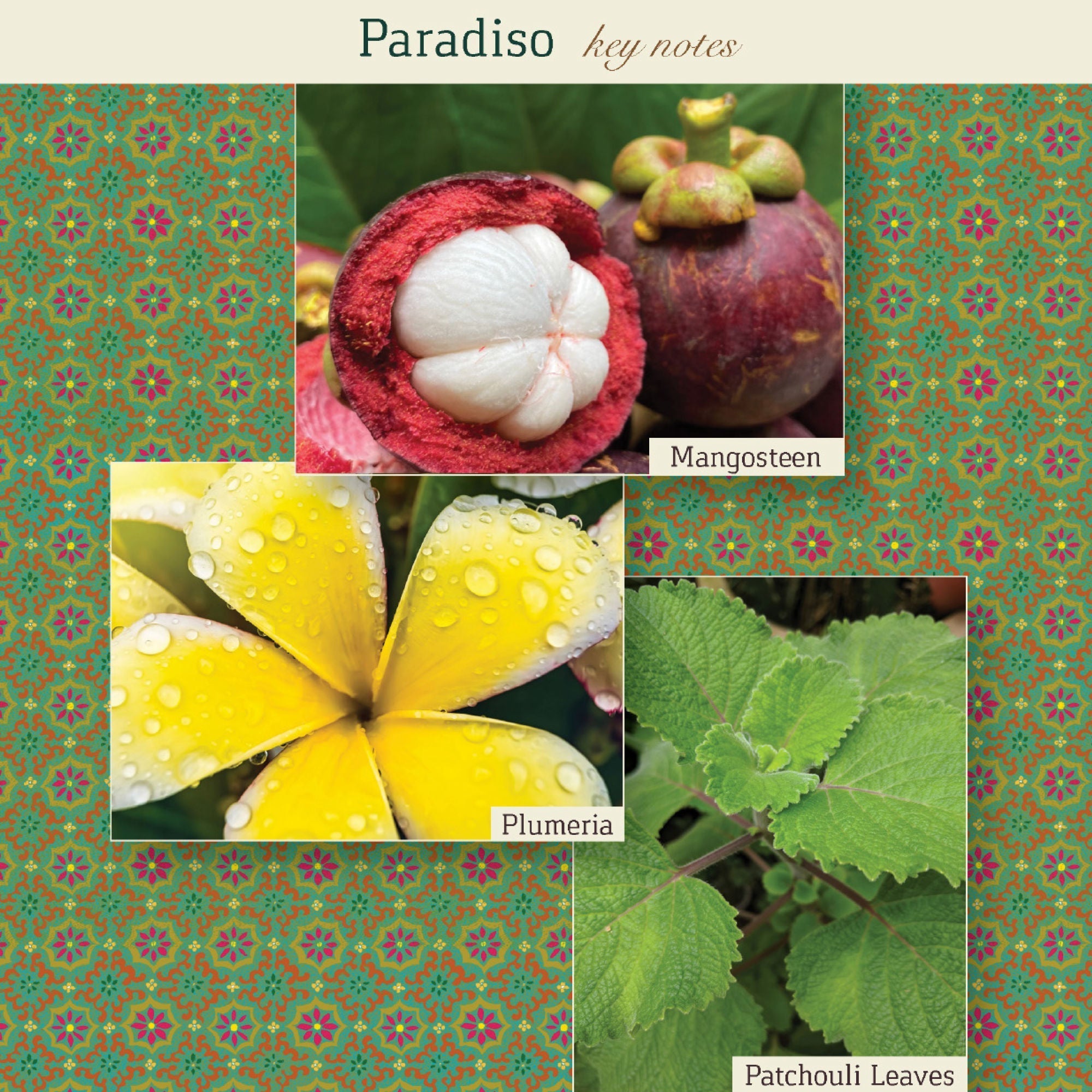 Paradiso Eau de Parfum