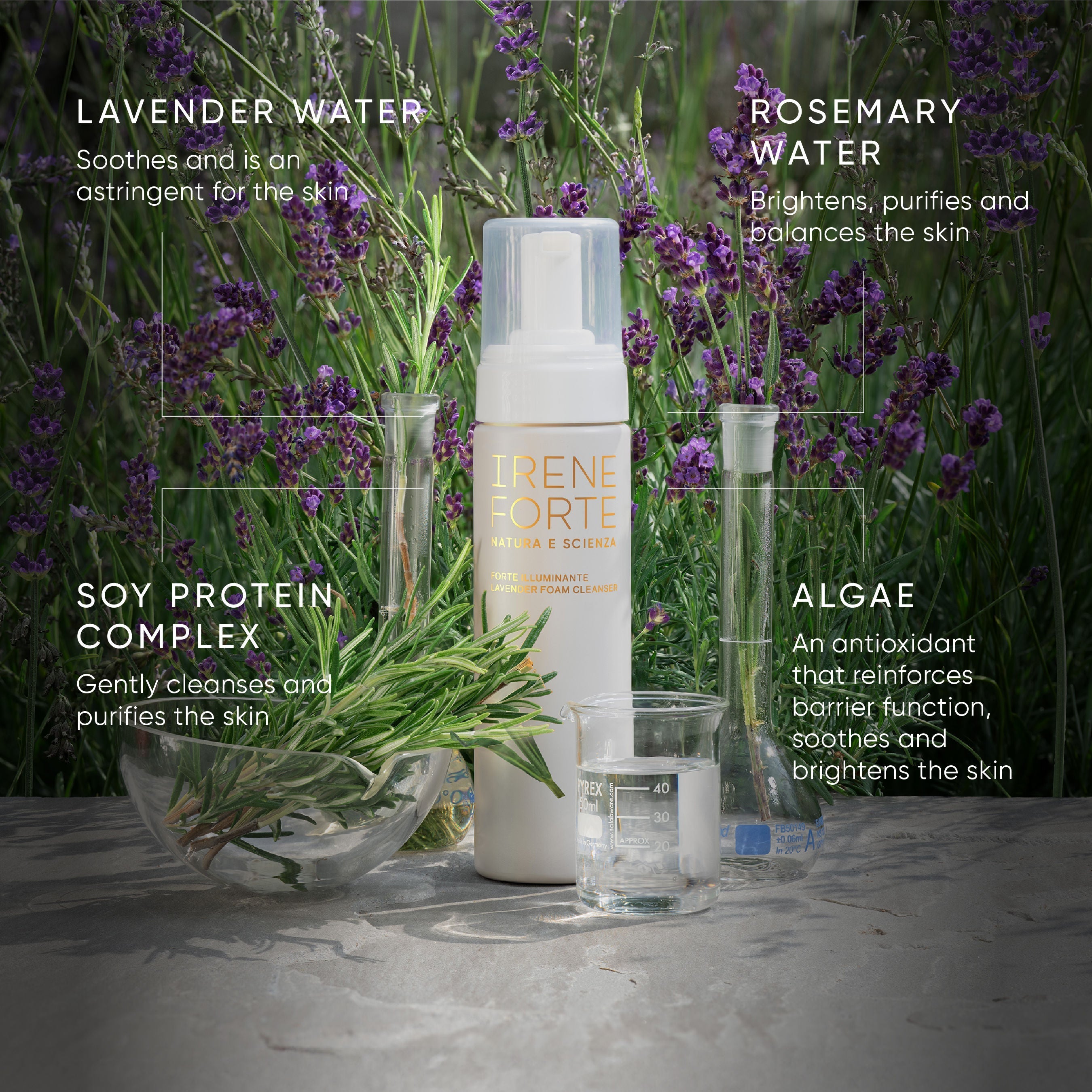 Lavender Foam Cleanser