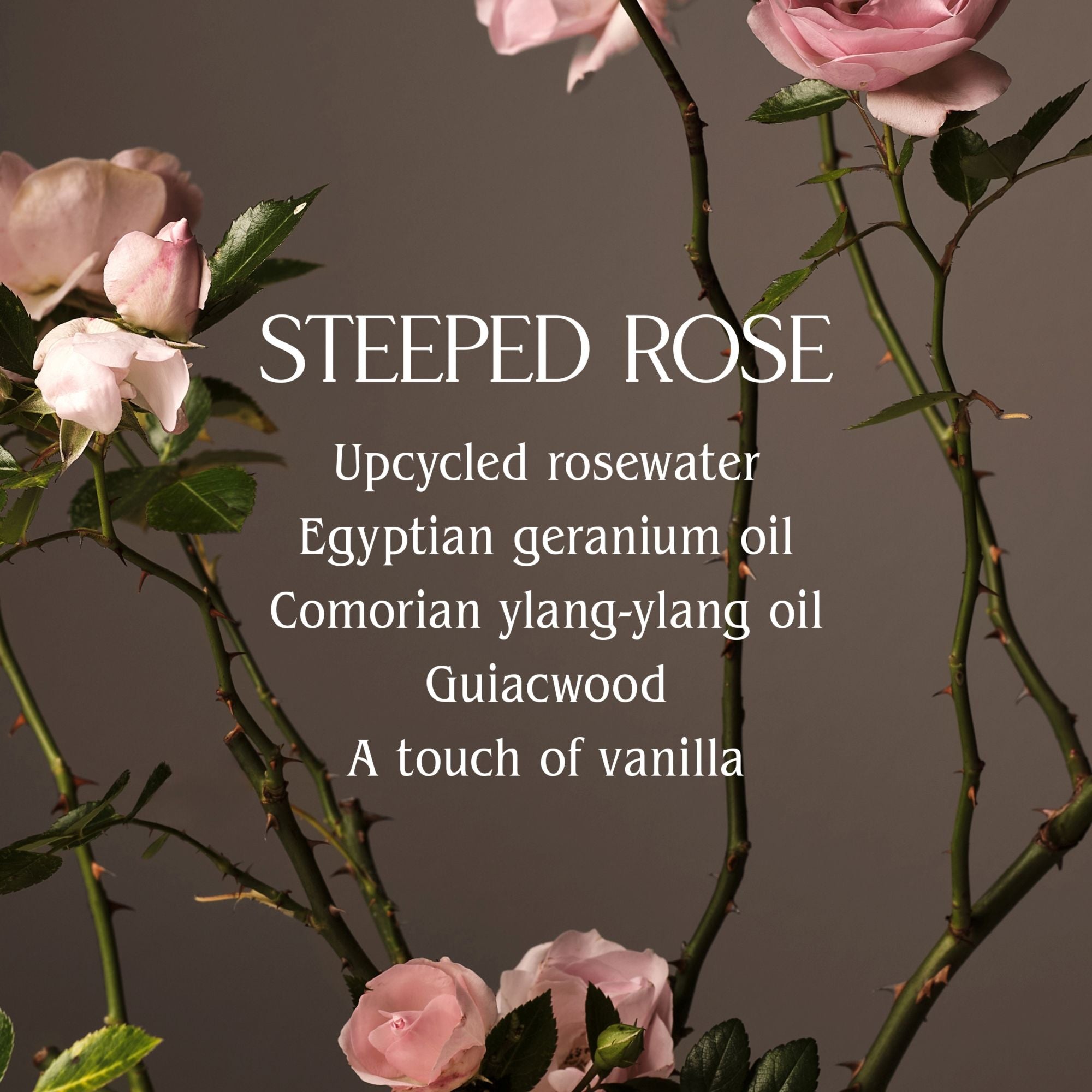 Steeped Rose Hand Wash