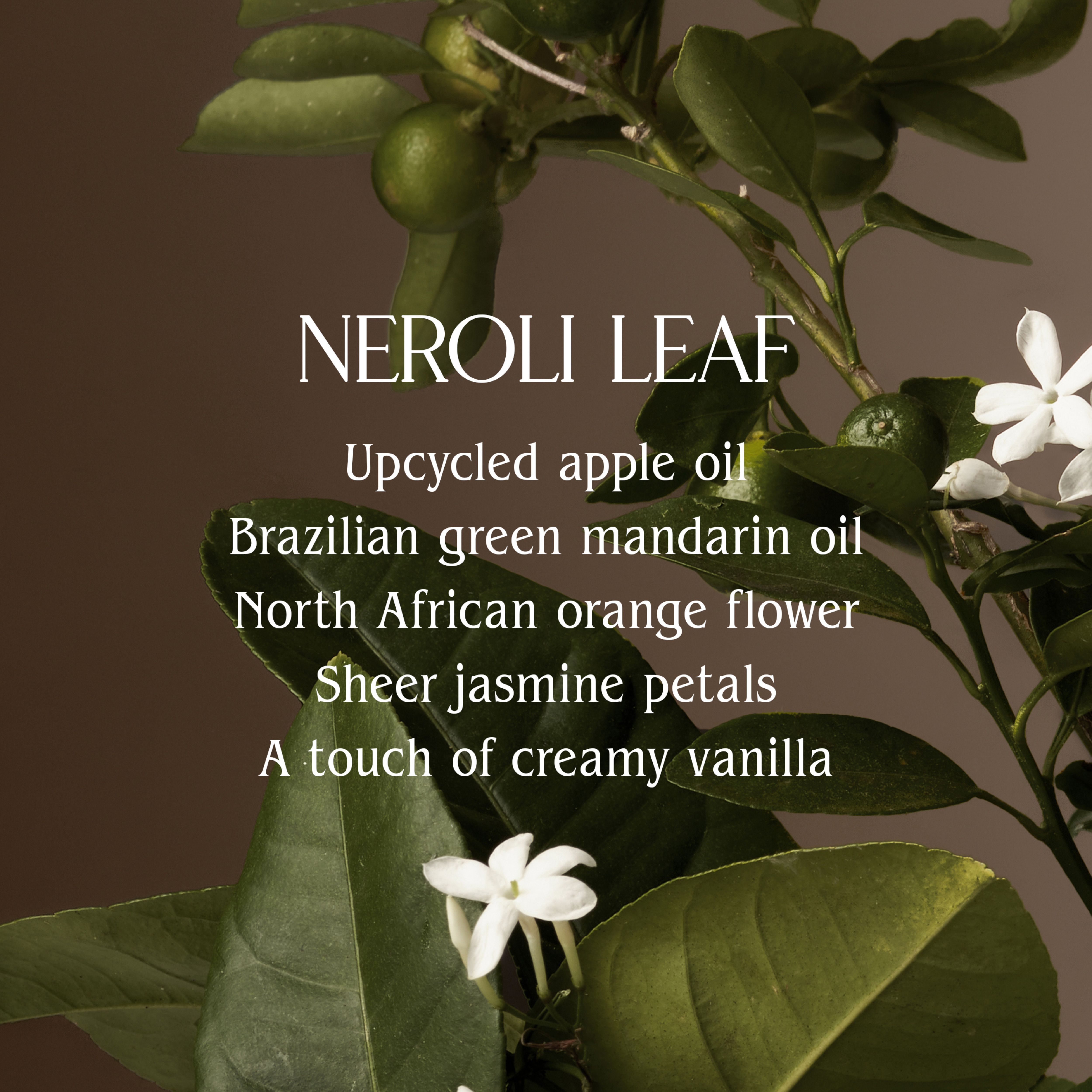Neroli Leaf Hand Wash