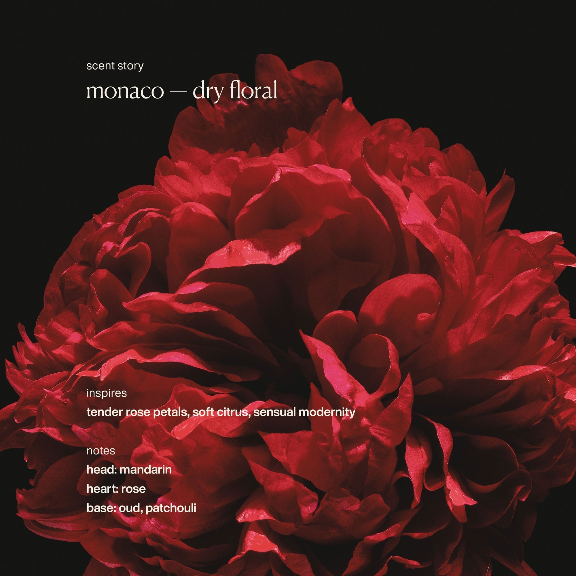 Restorative Hand Wash Monaco