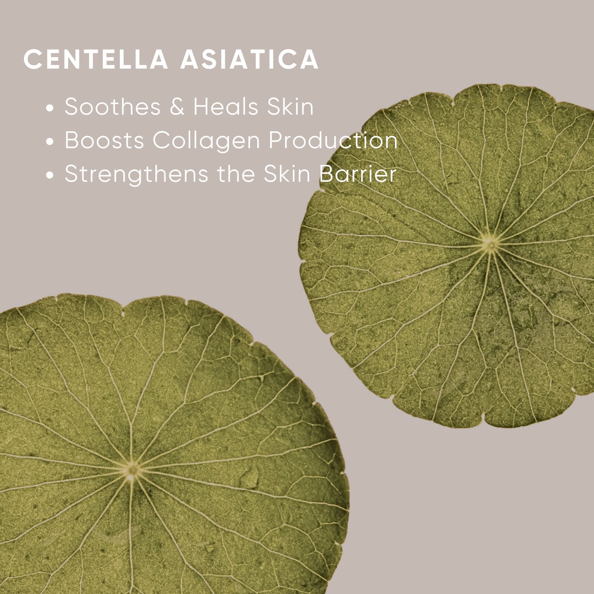 Hydrating Moisturizer