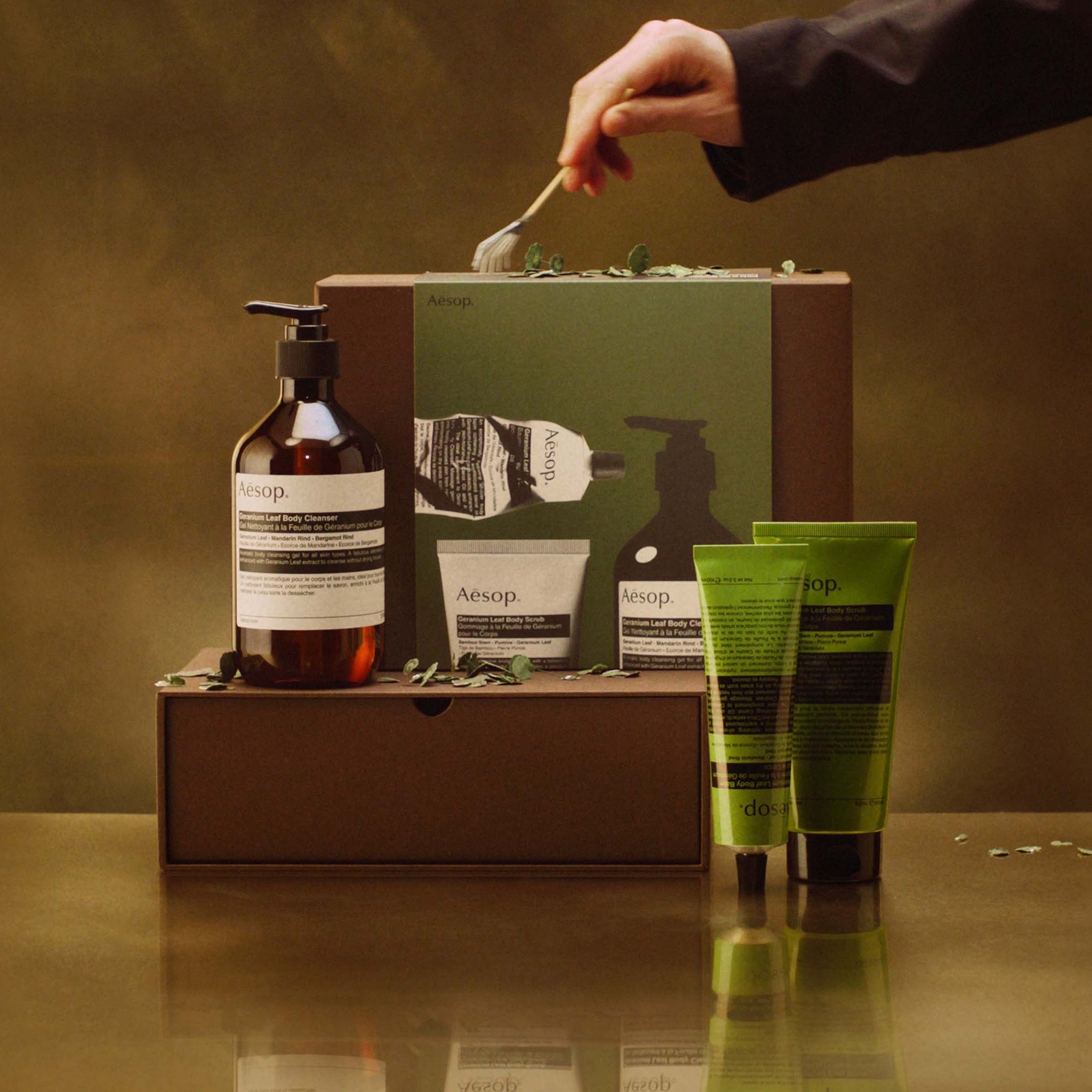 Party in the Greenhouse (Limited Edition)