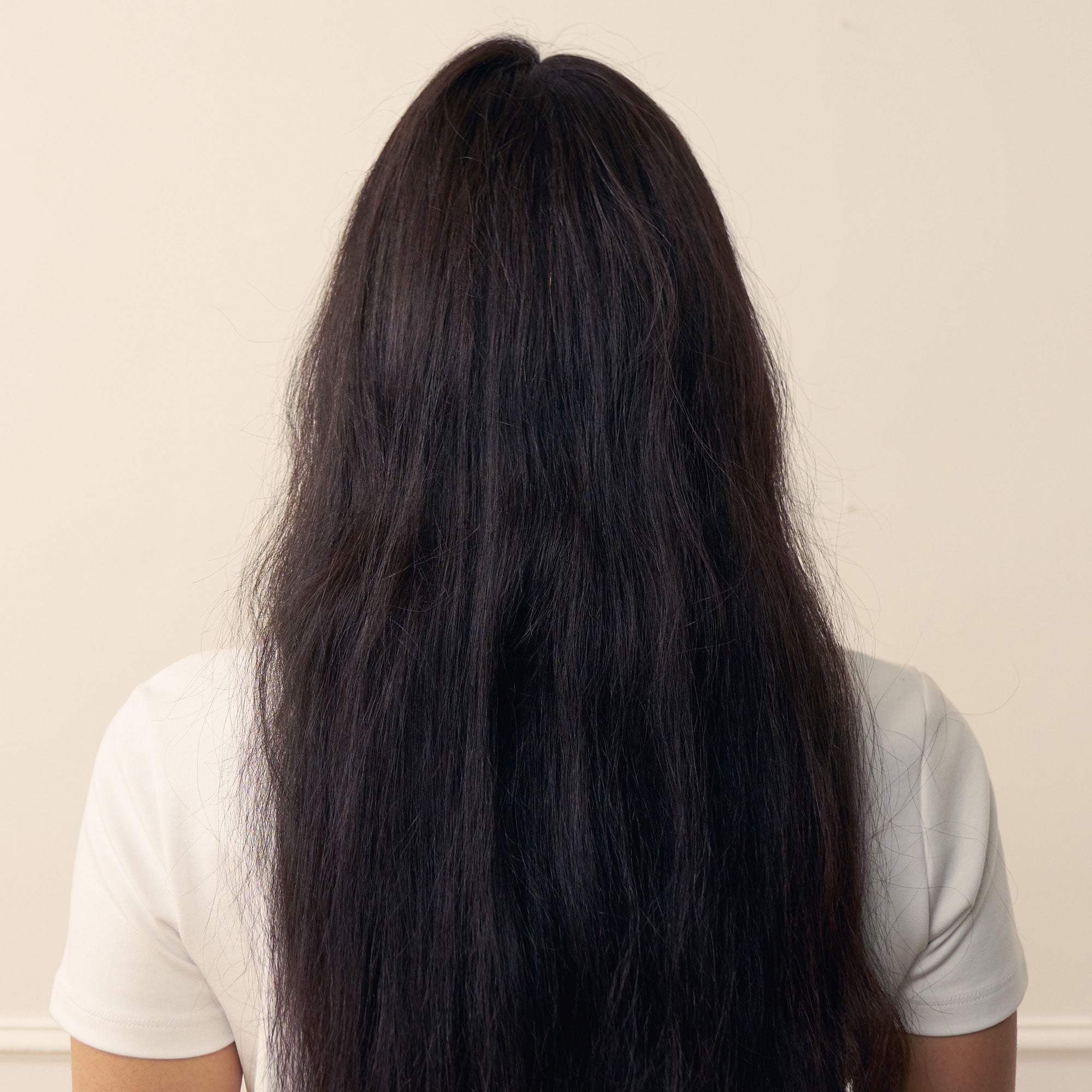 Regenerating Shampoo with Prickly Pear Oil