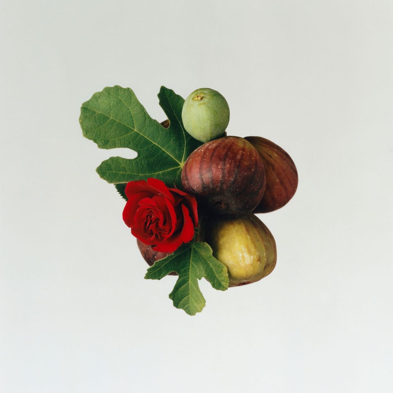 Zephirine Eau De Parfum