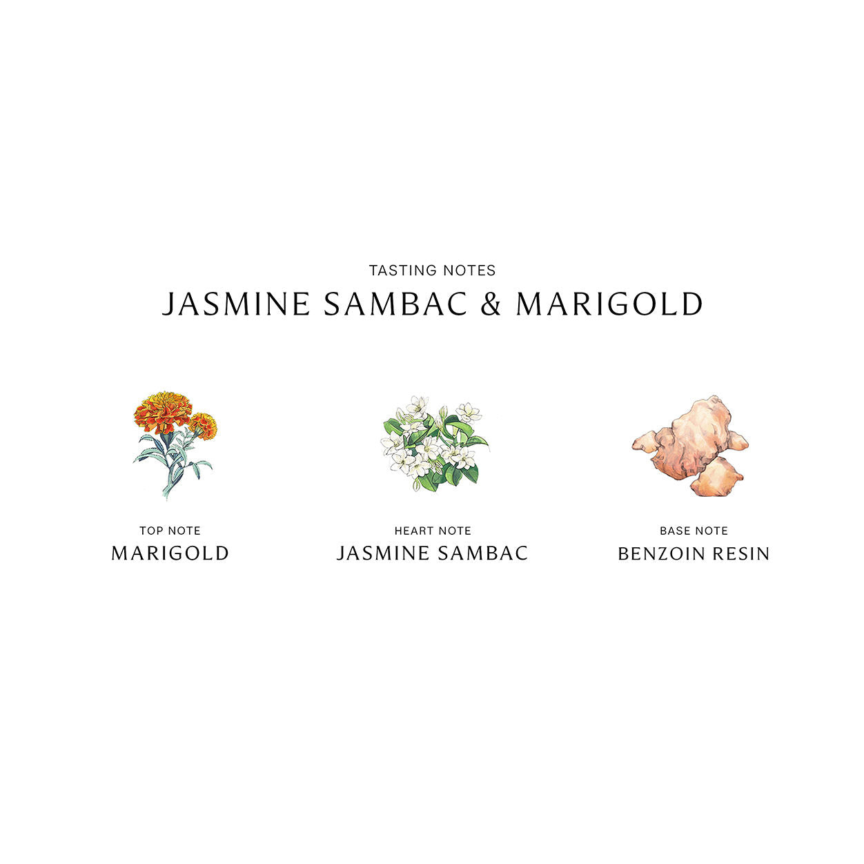 Jasmine Sambac and Marigold Cologne Intense