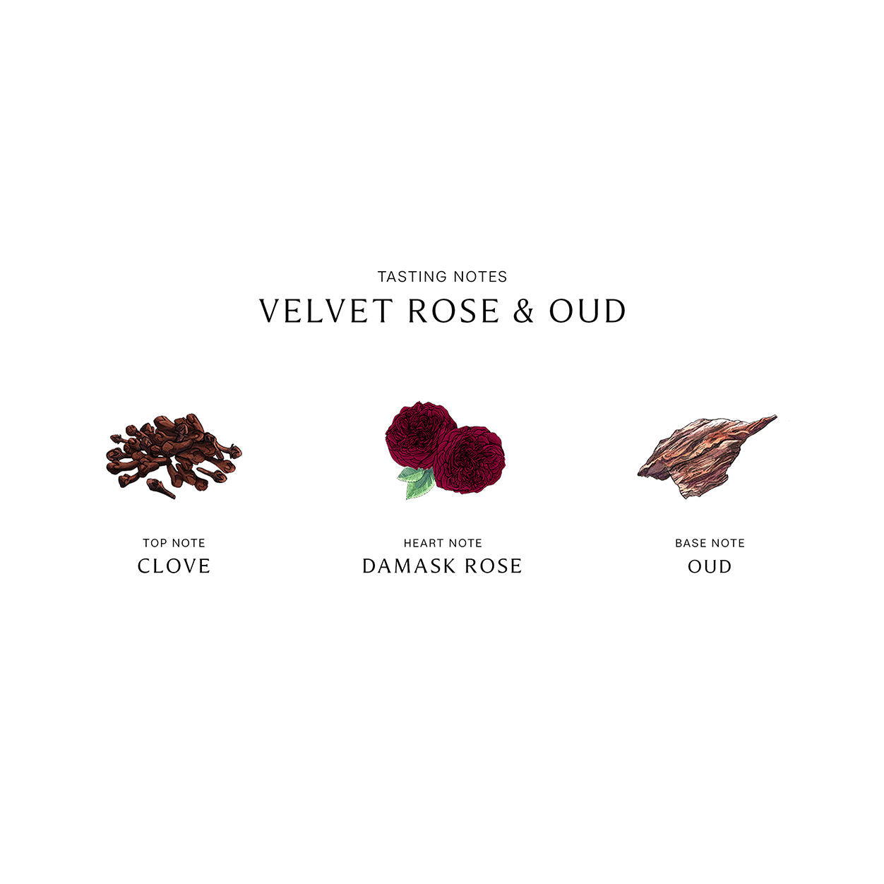 Velvet Rose and Oud Cologne Intense