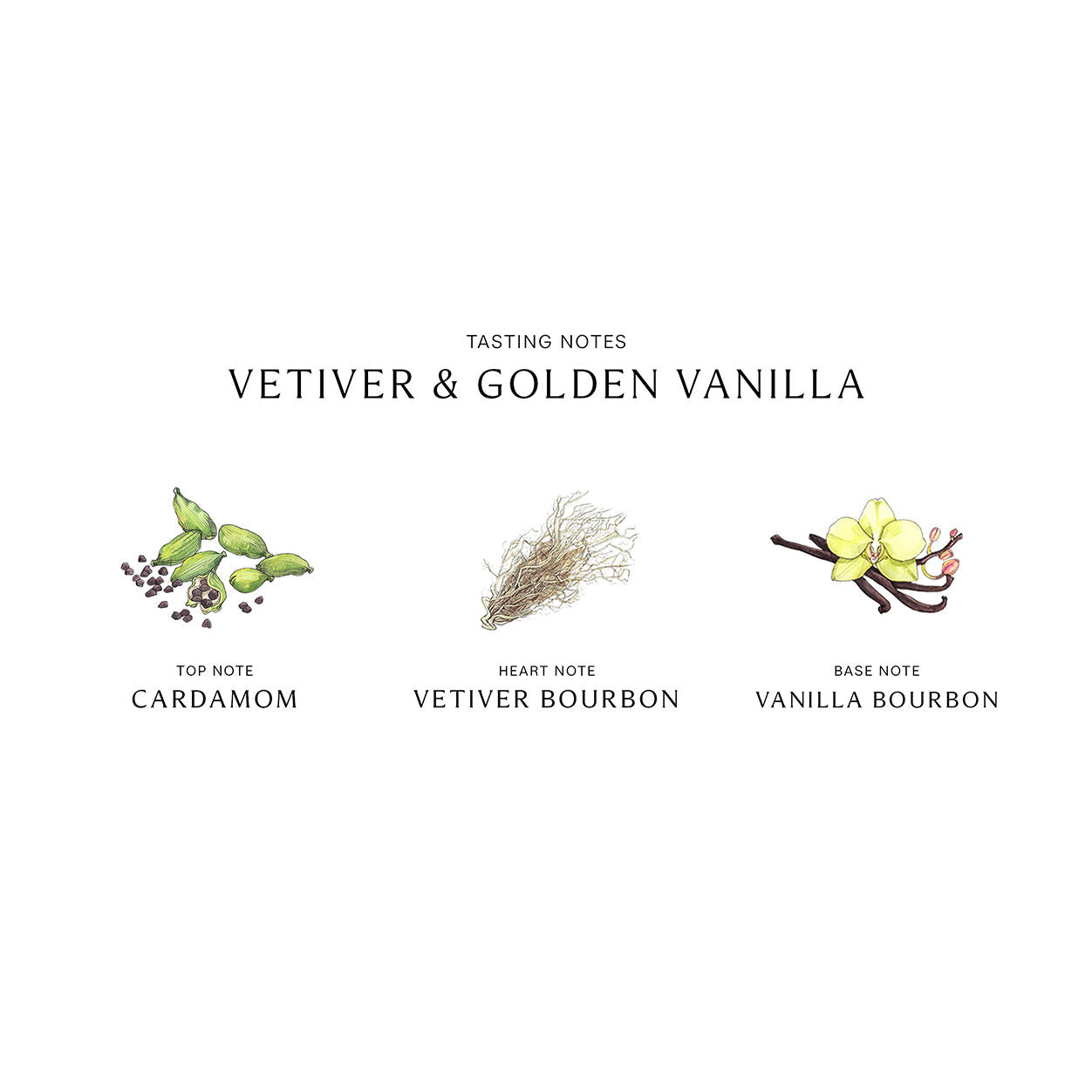 Vetiver and Golden Vanilla Cologne Intense