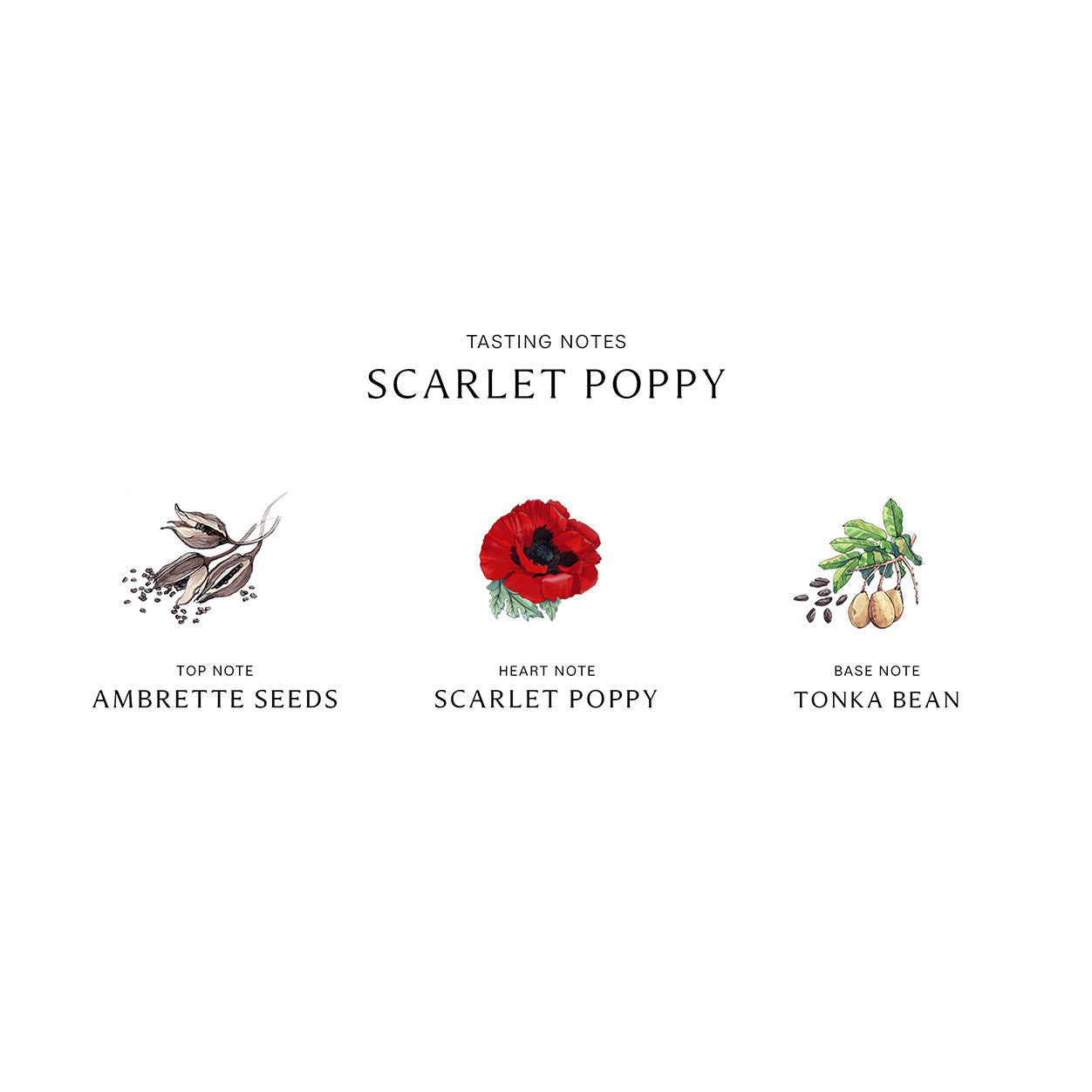 Scarlet Poppy Cologne Intense