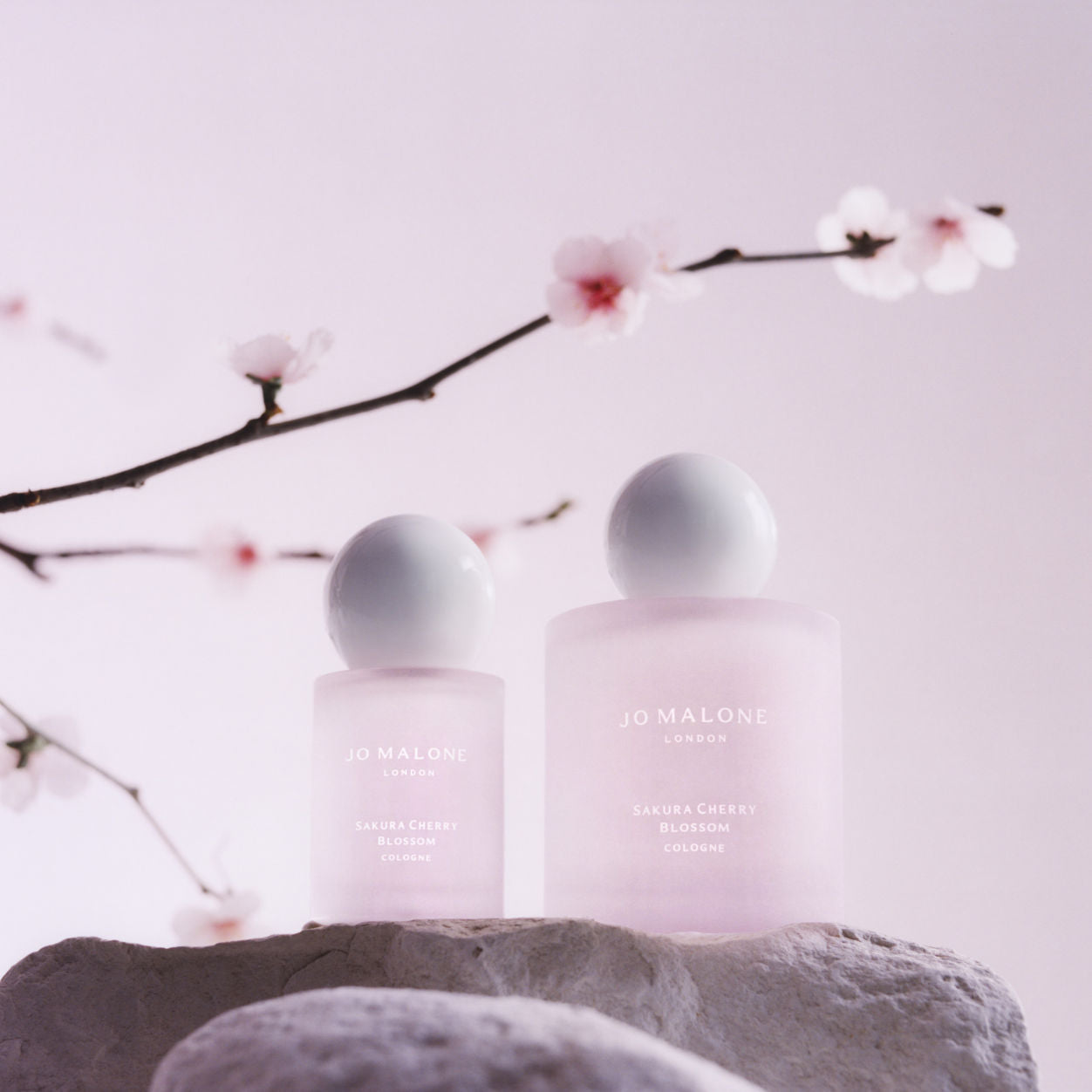 Sakura Cherry Blossom Cologne