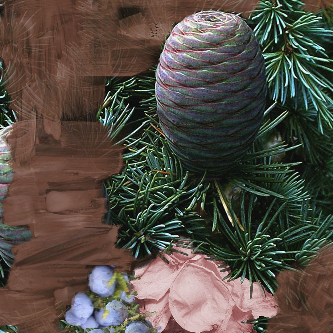 Super Cedar Eau de Parfum