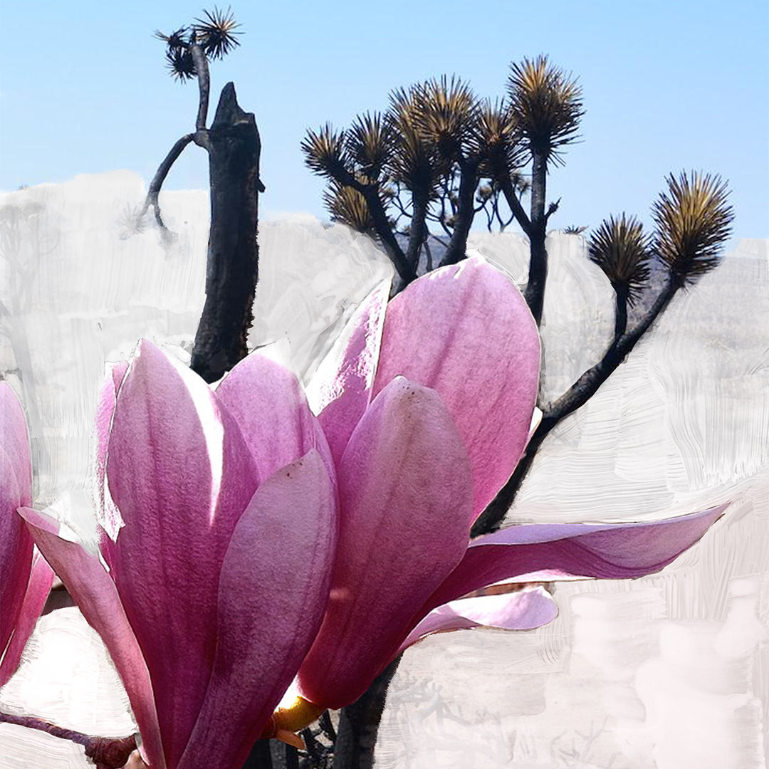 Mojave Ghost Eau de Parfum