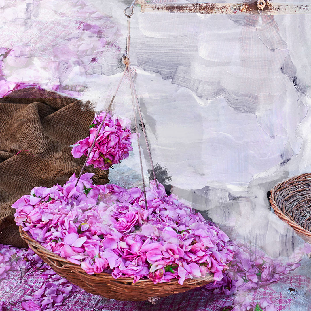 Young Rose Eau de Parfum