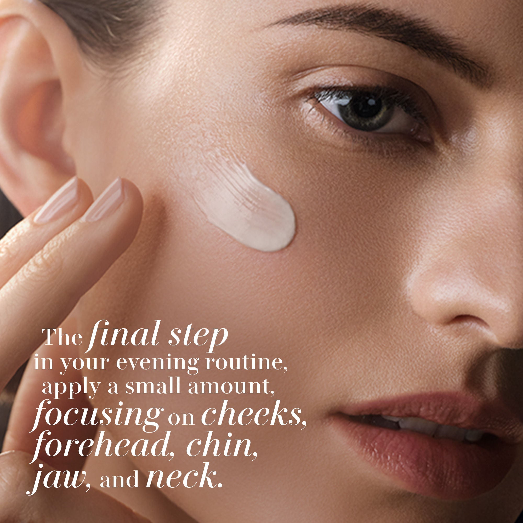 The Rejuvenating Night Cream