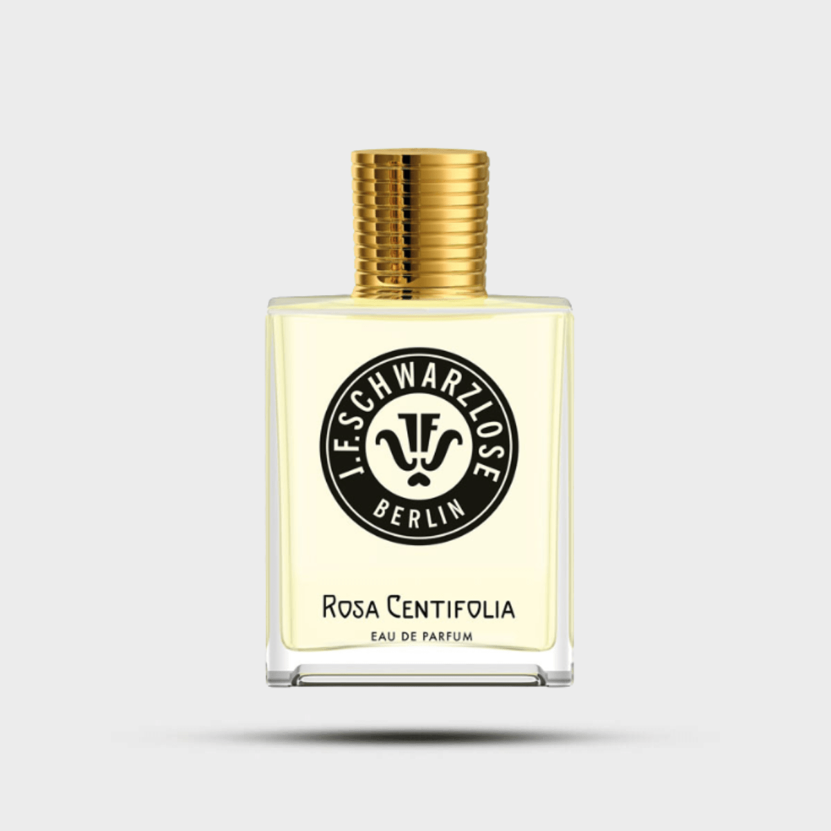 Rosa Centifolia - Levo