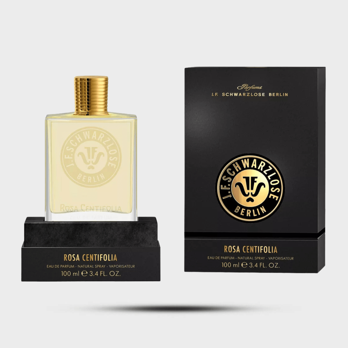 Rosa Centifolia - Levo