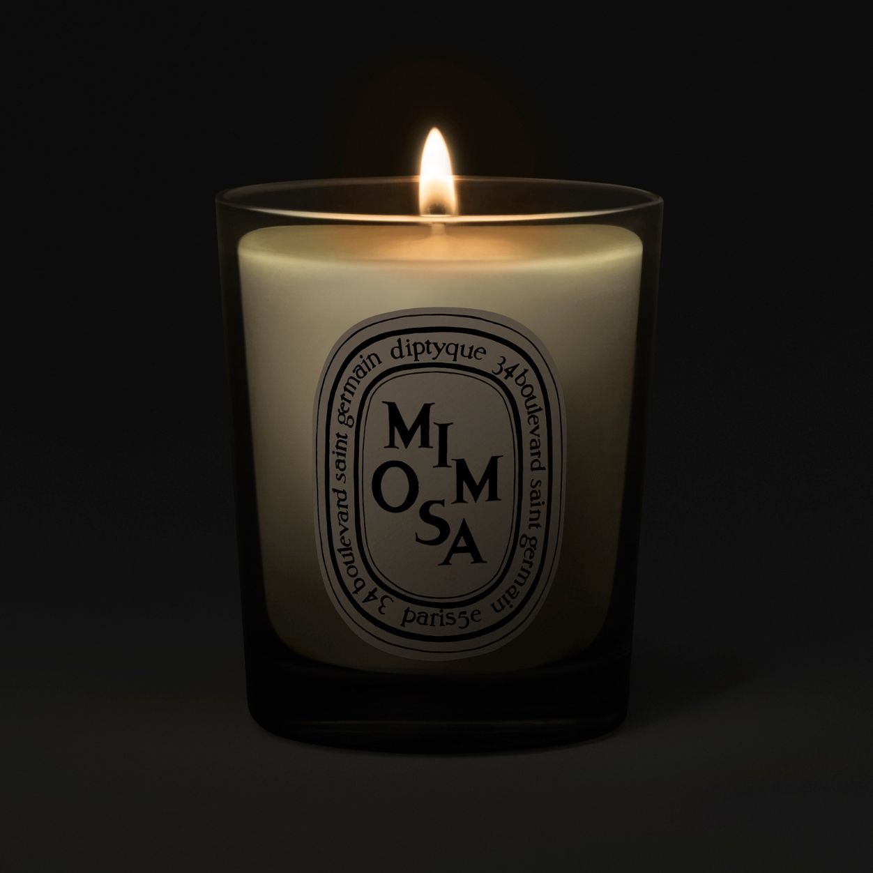 Mimosa Candle