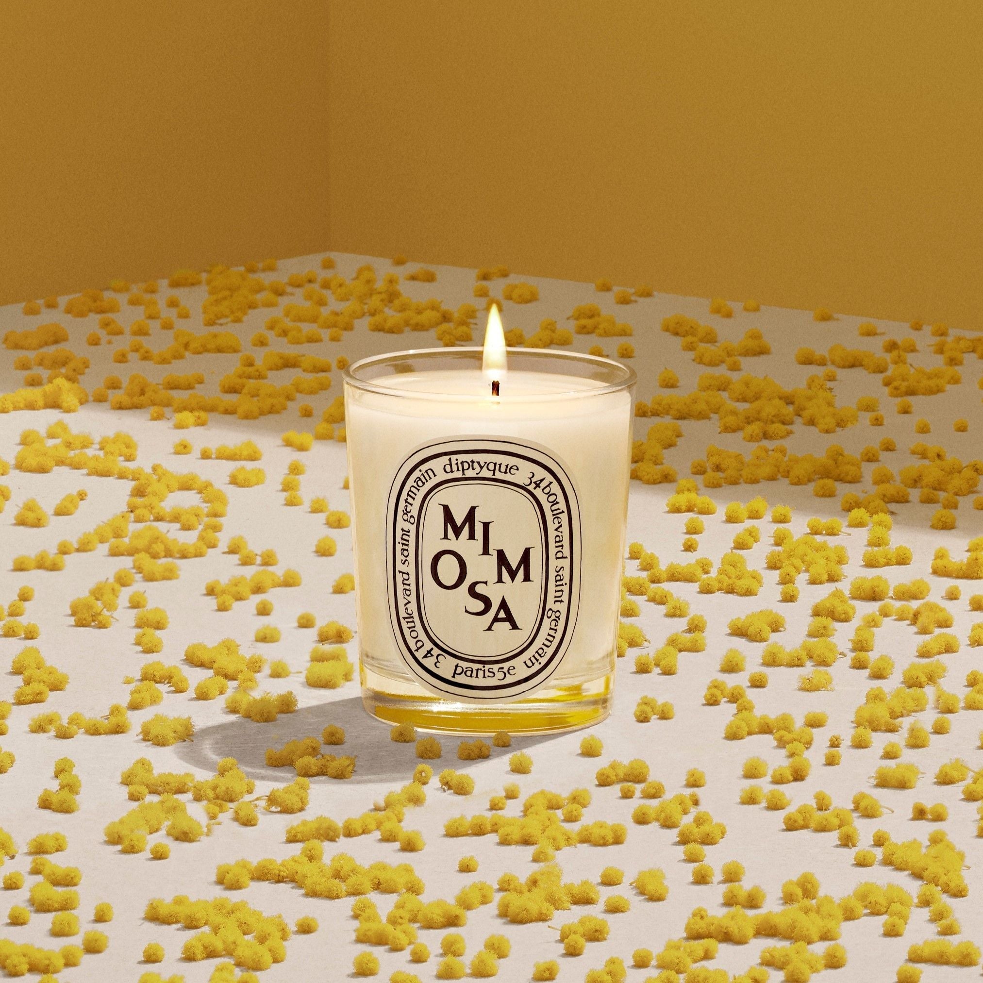 Mimosa Candle