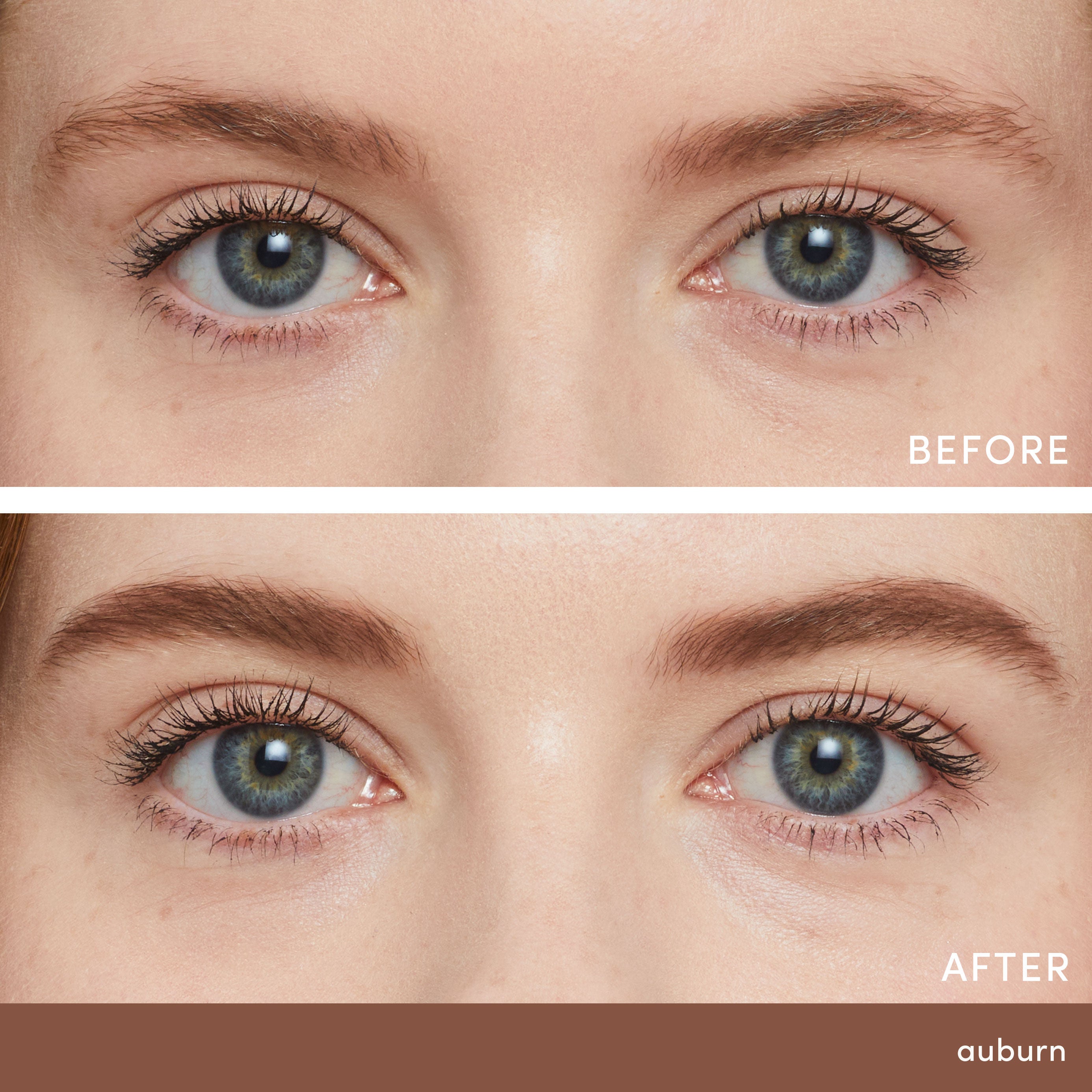 PureBrow Brow Powder