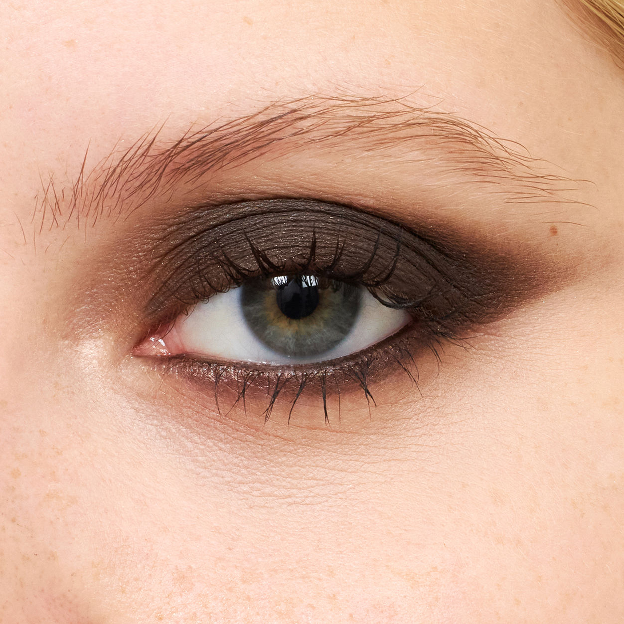 Pretty Shady Pressed Pigment