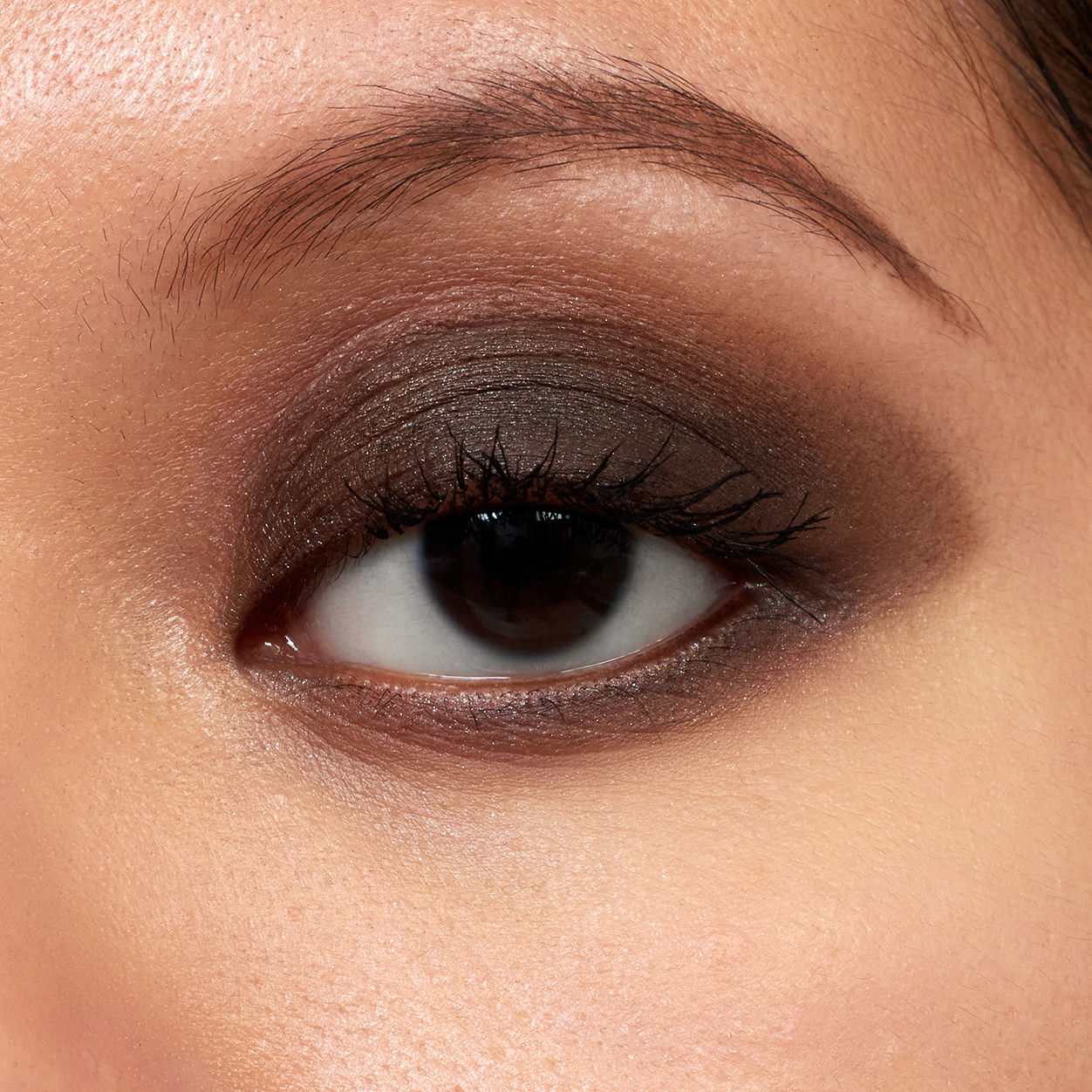 Pretty Shady Pressed Pigment