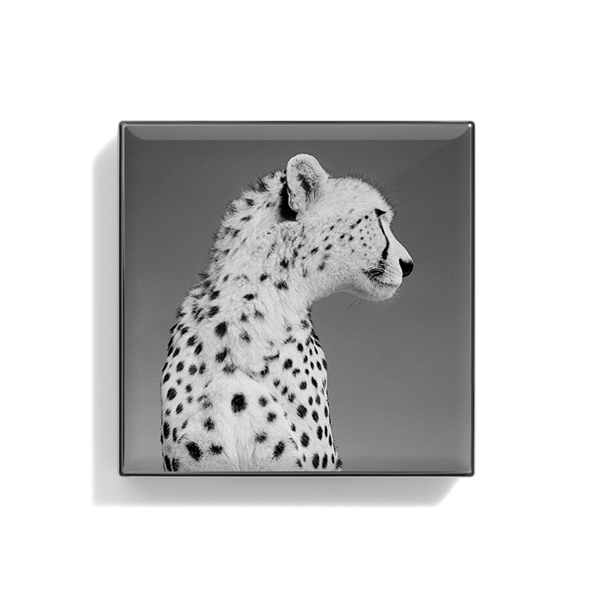 Luminescent Eye Shade