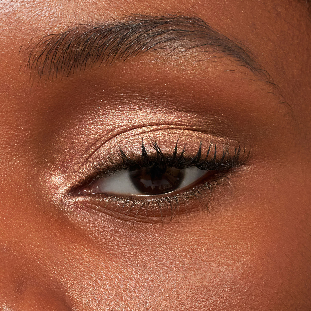 Pretty Shady Pressed Pigment