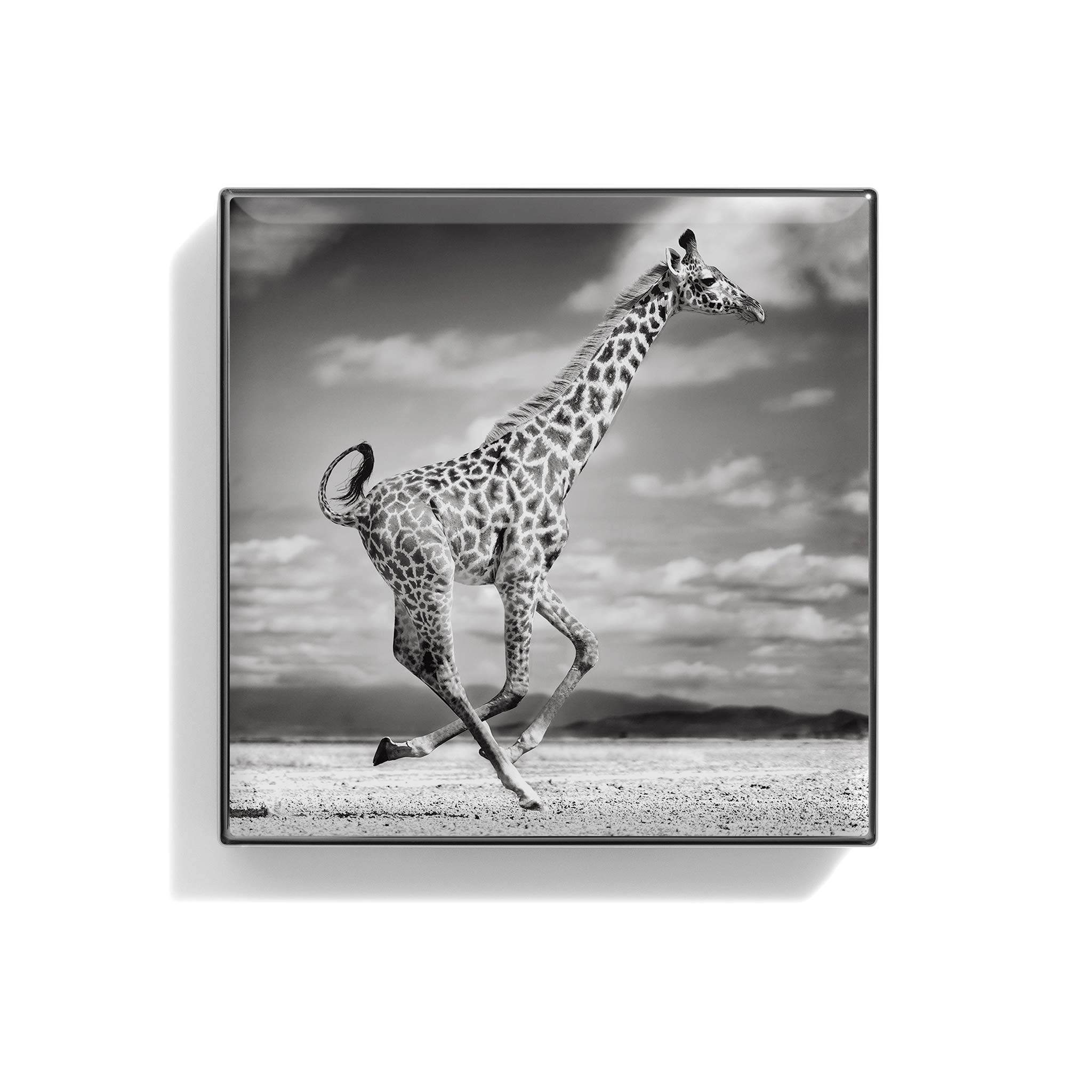 Luminescent Eye Shade